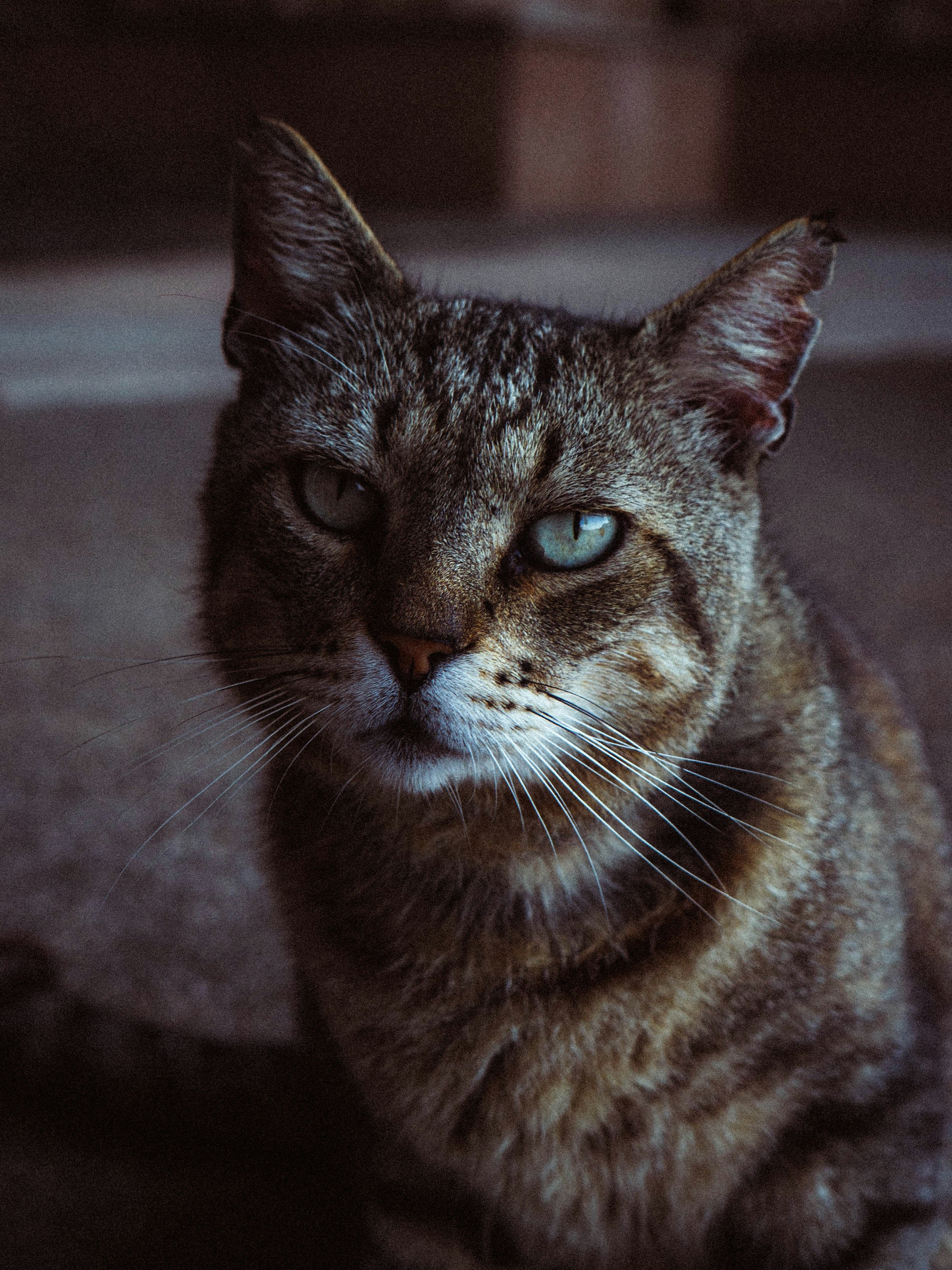 Photo by thepollenpolin