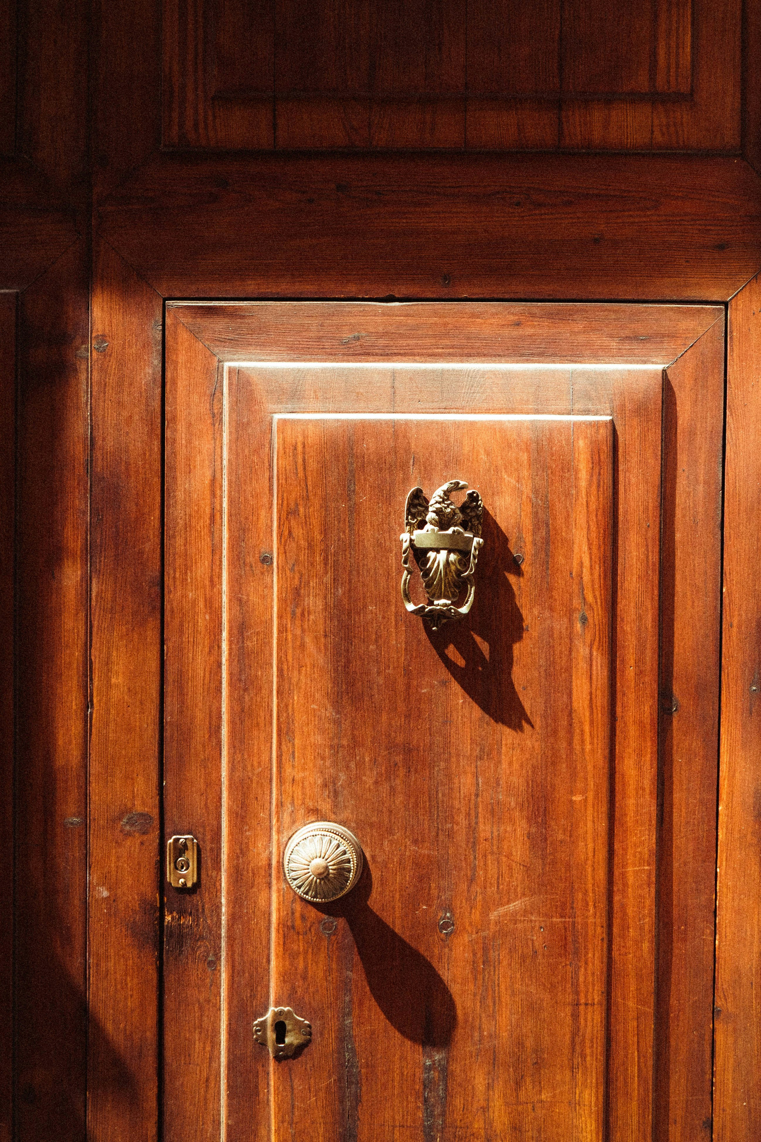 Photo by thepollenpolin