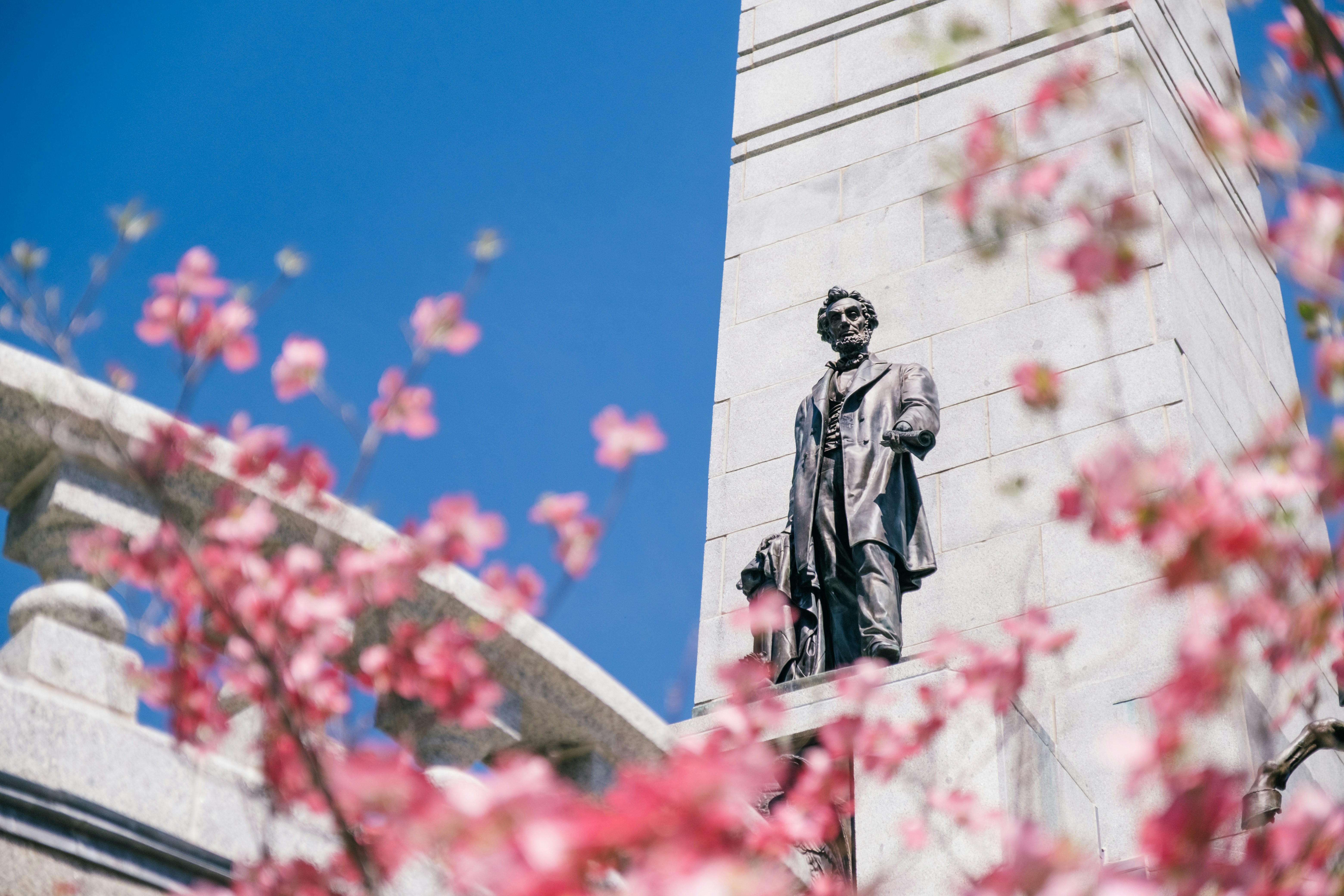 A statue is surrounded by blooming cherry blossoms.