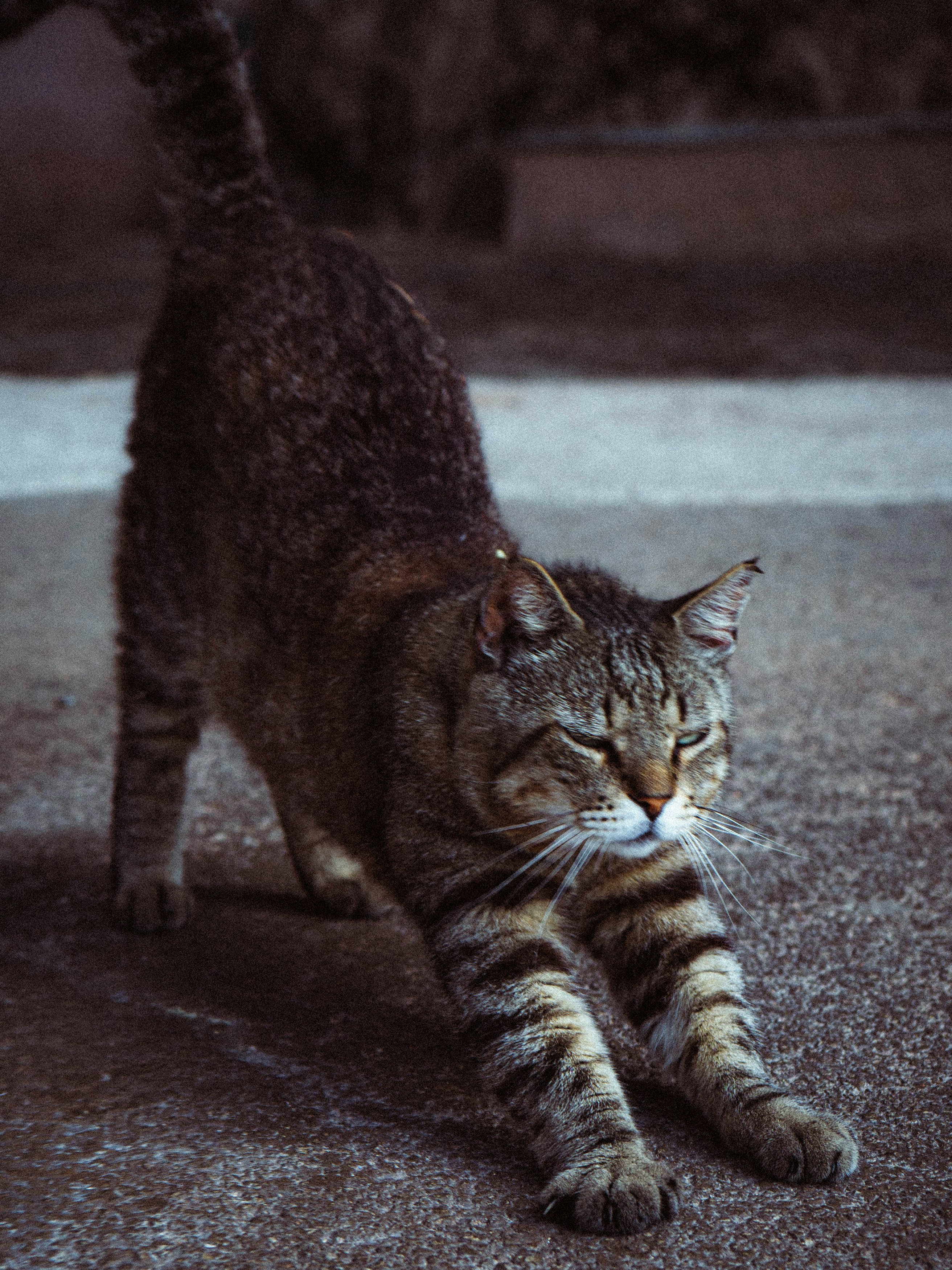 Photo by thepollenpolin