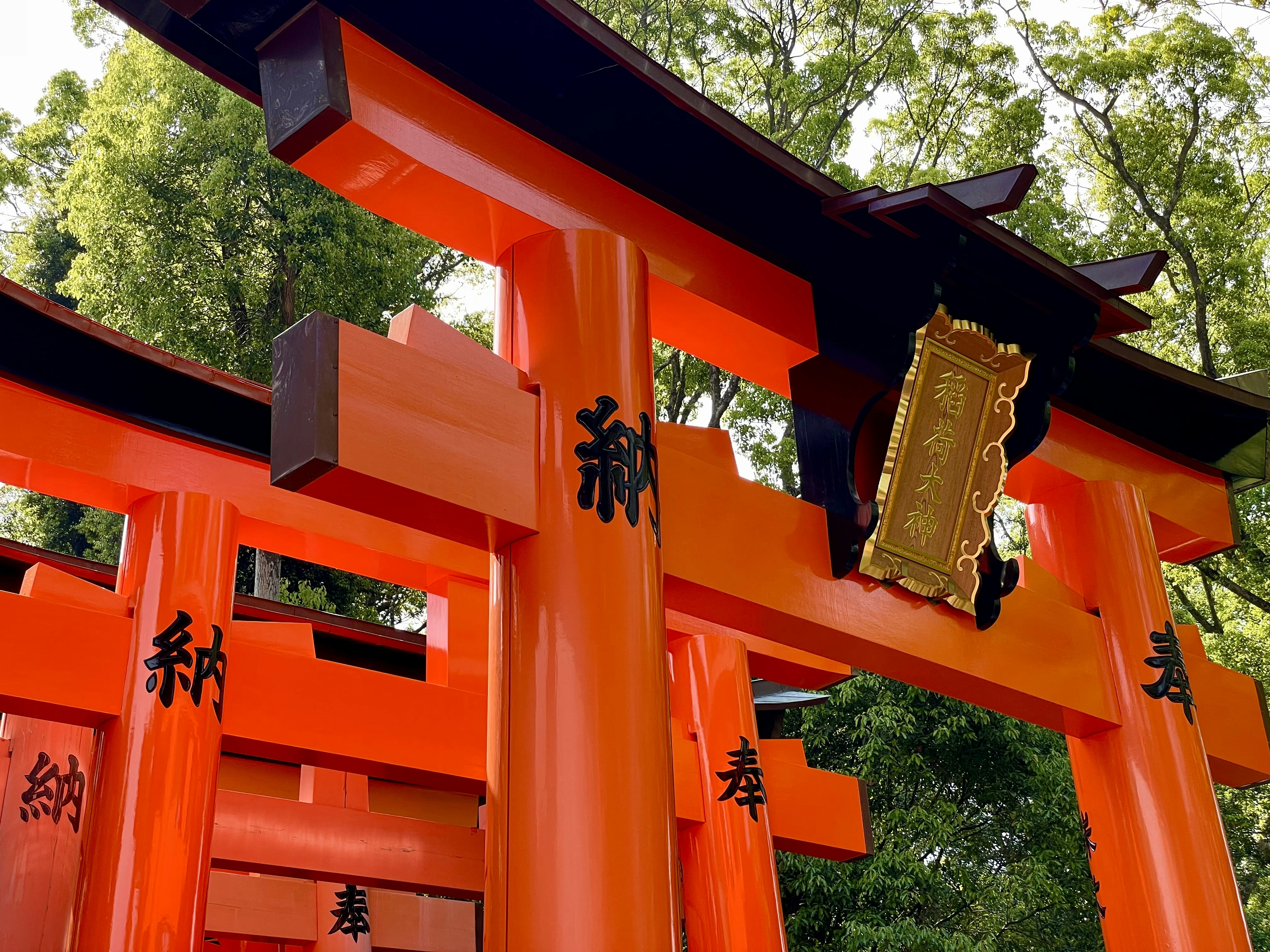 Photo by yashbanka123