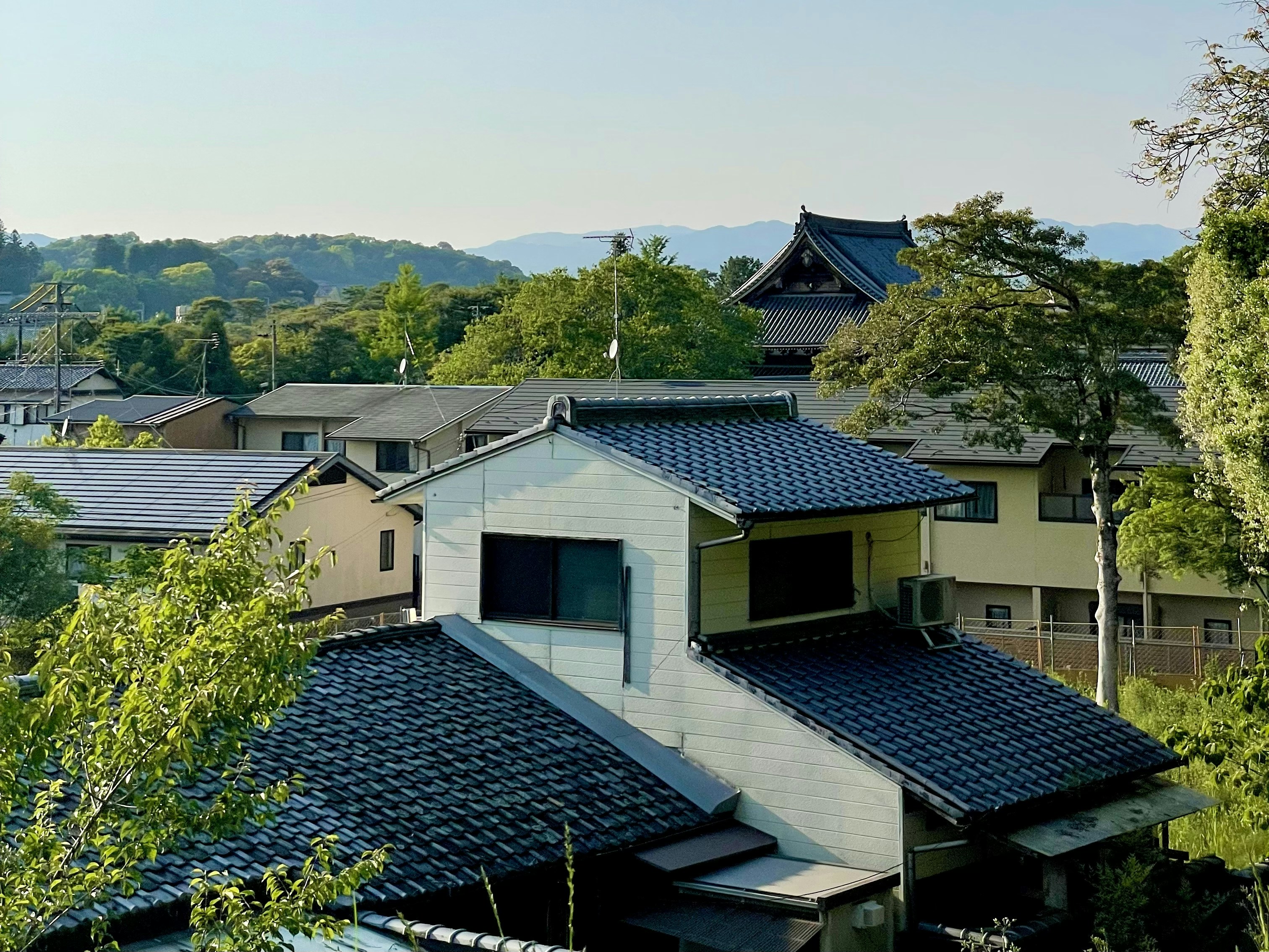 Japanese houses nestled amongst trees.