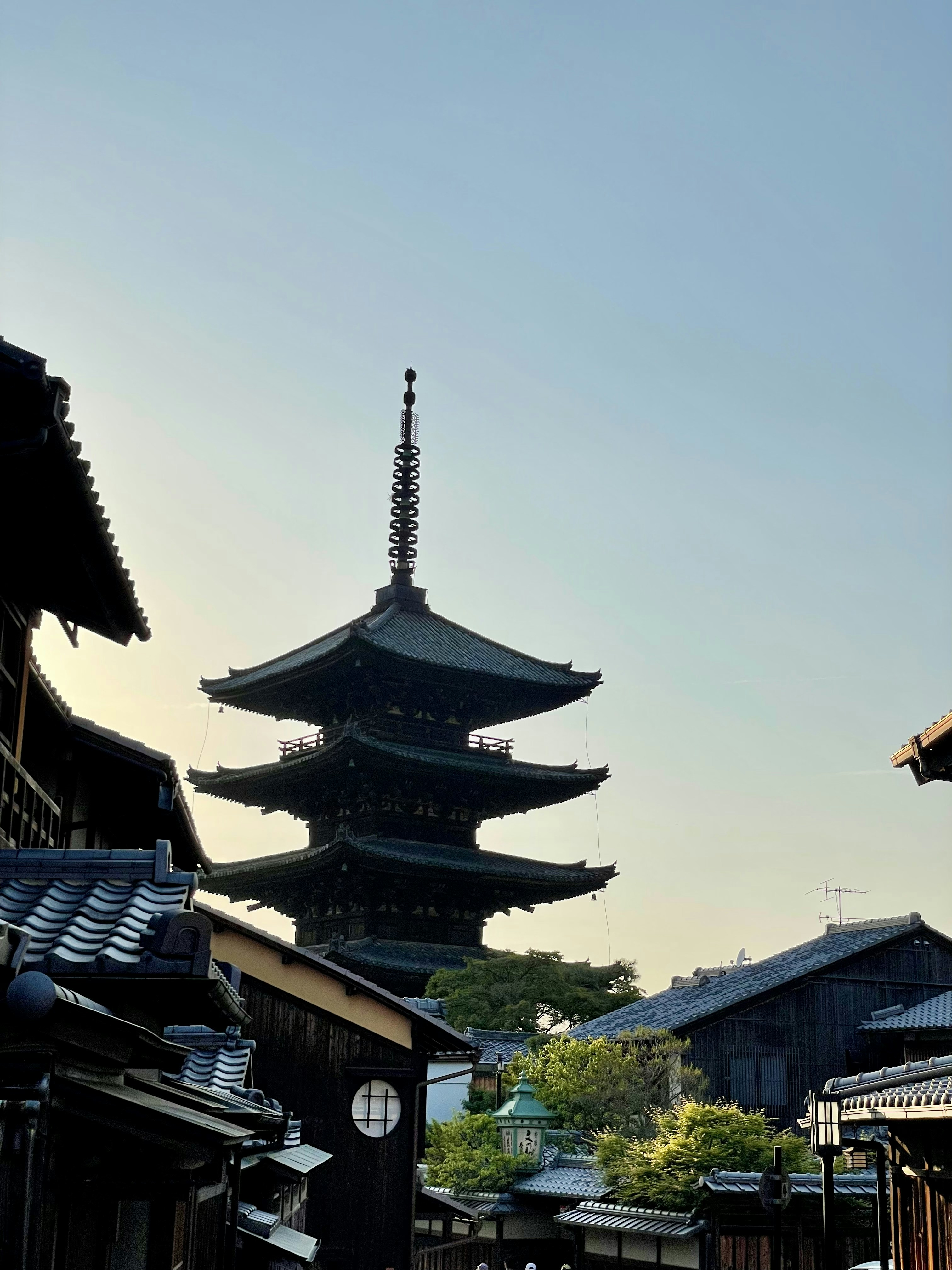 Photo by yashbanka123