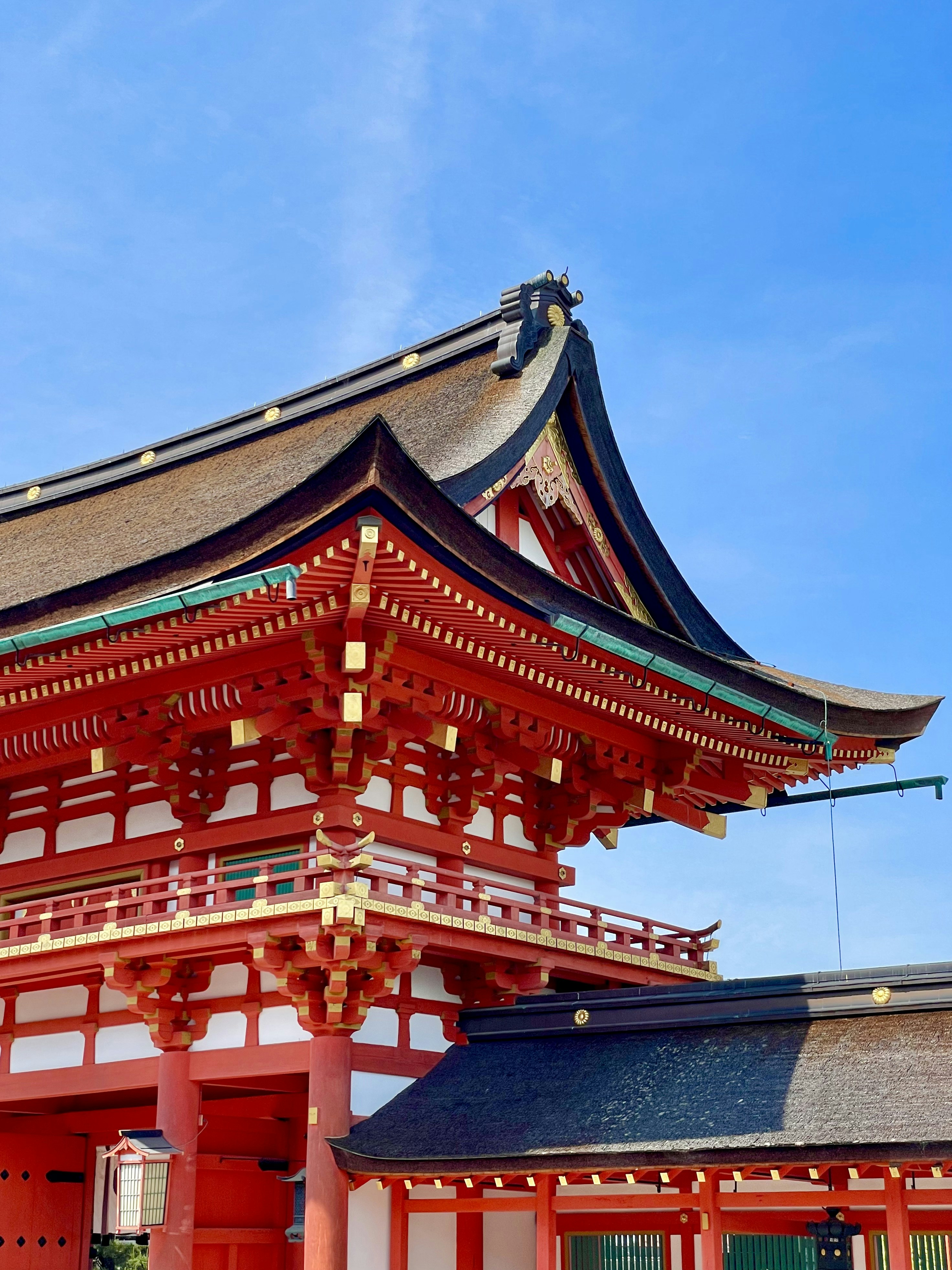 Photo by yashbanka123