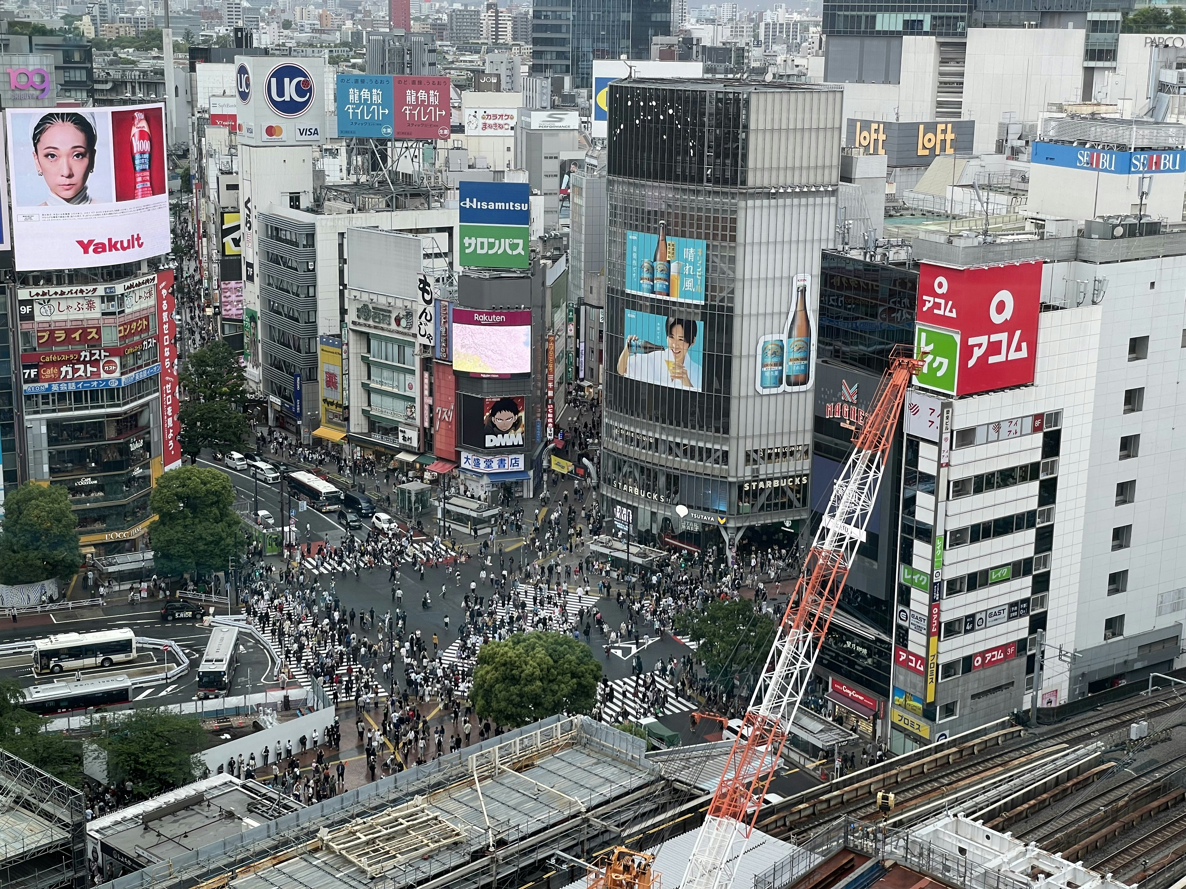 Photo by yashbanka123