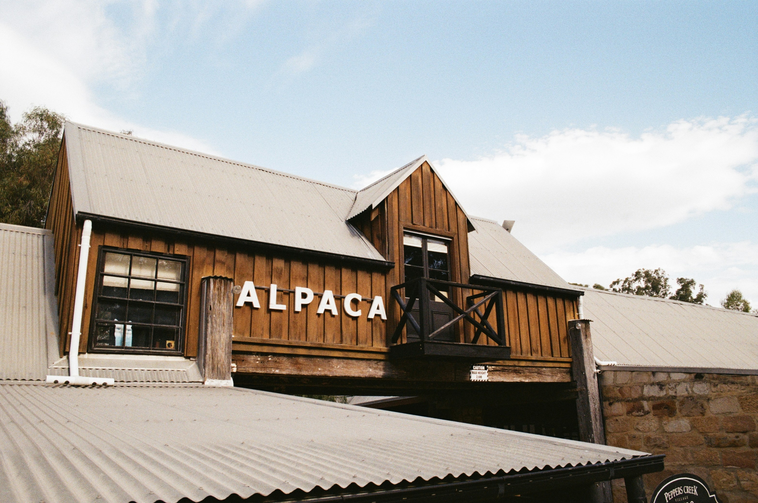 Pentax lx 35mm film camera Kodak UltraMax 400 Australia, Hunter valley