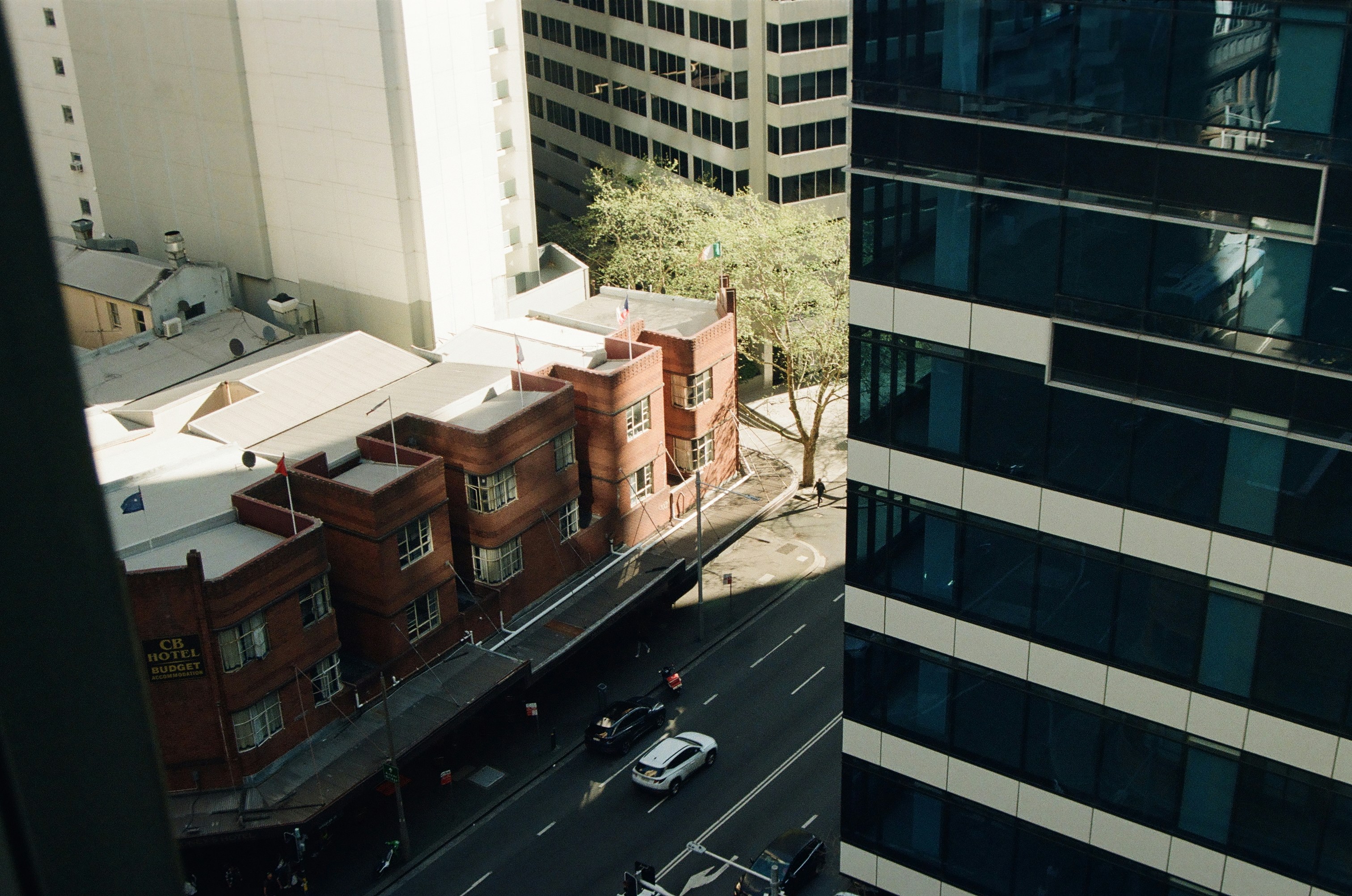 What Education Does A Translator Need? Degrees, Certifications, And More