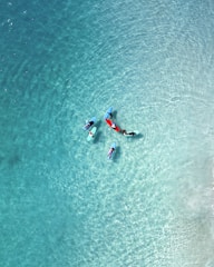 People paddleboarding in bright turquoise water.