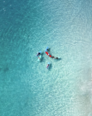 People paddleboarding in bright turquoise water.