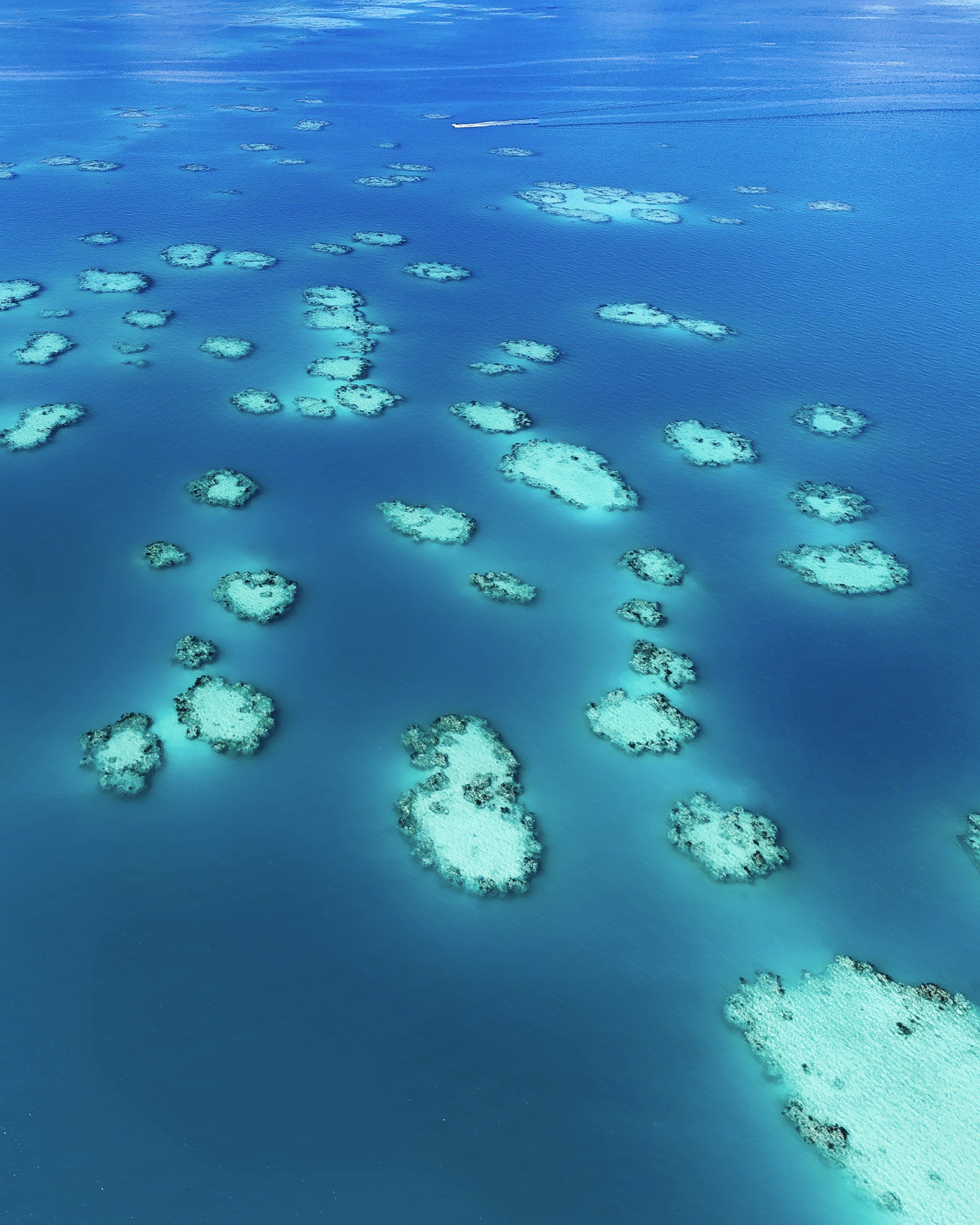 Ocean view of coral reefs.