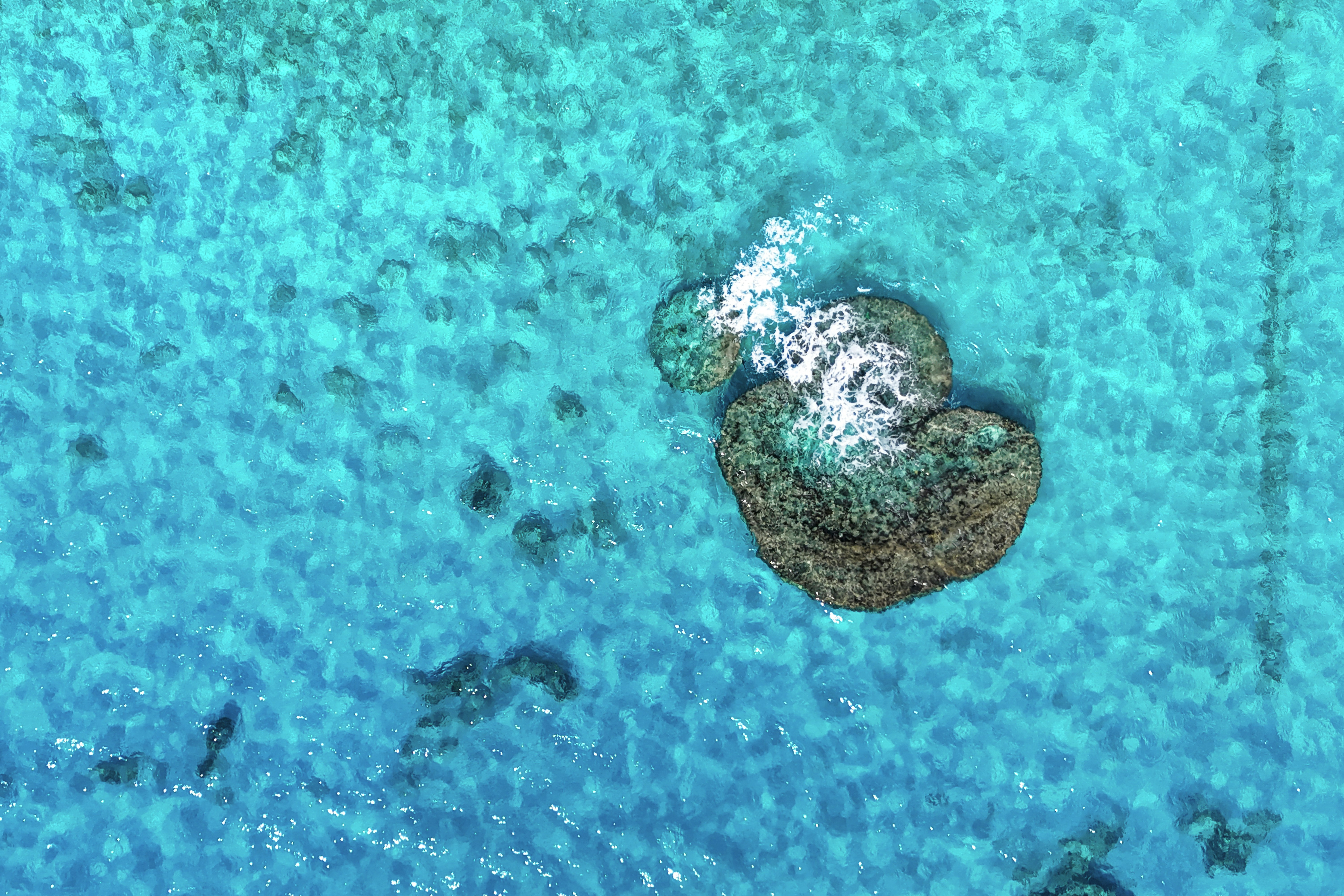 Aerial view of a coral reef in turquoise waters.