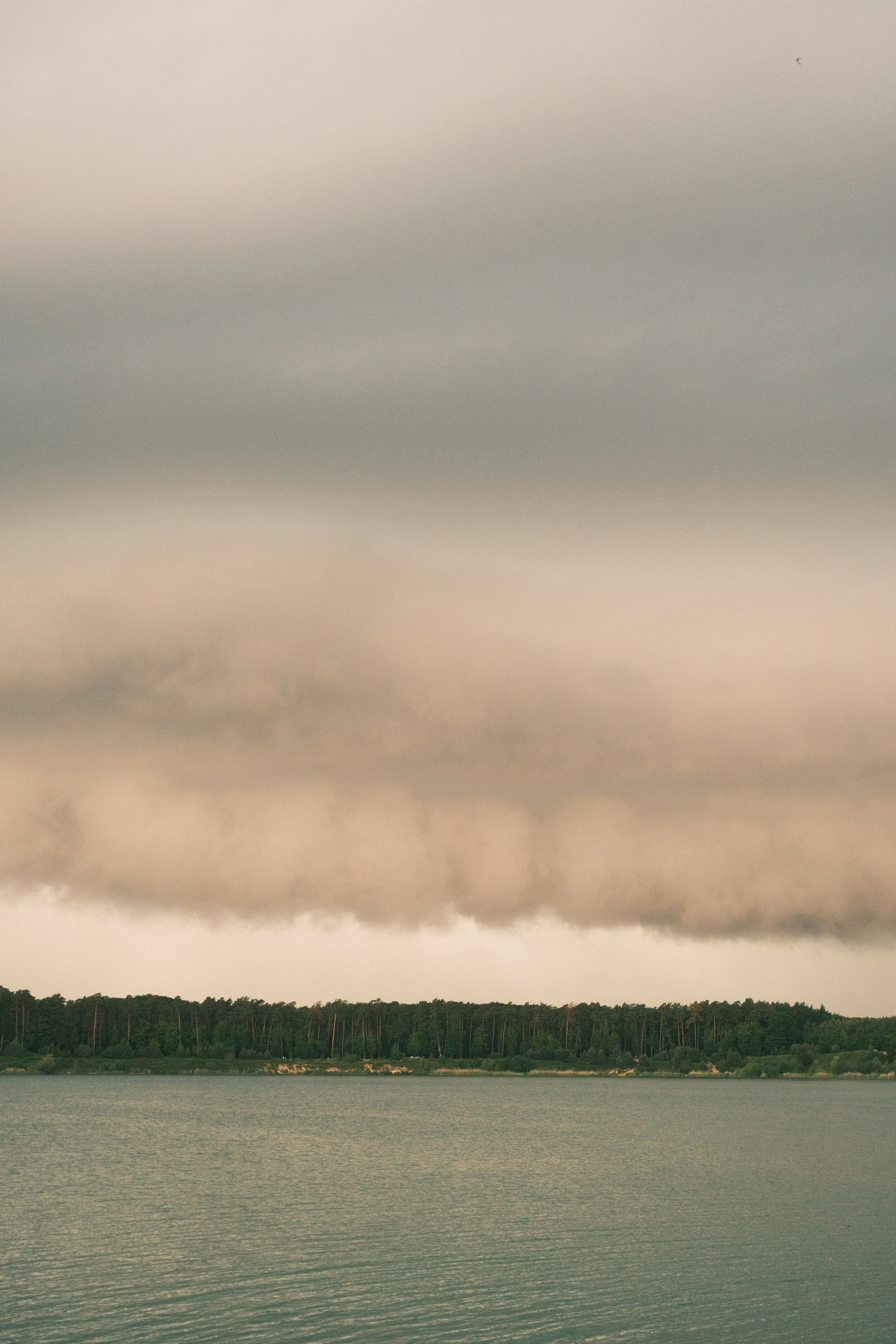 Photo by r_inascimento