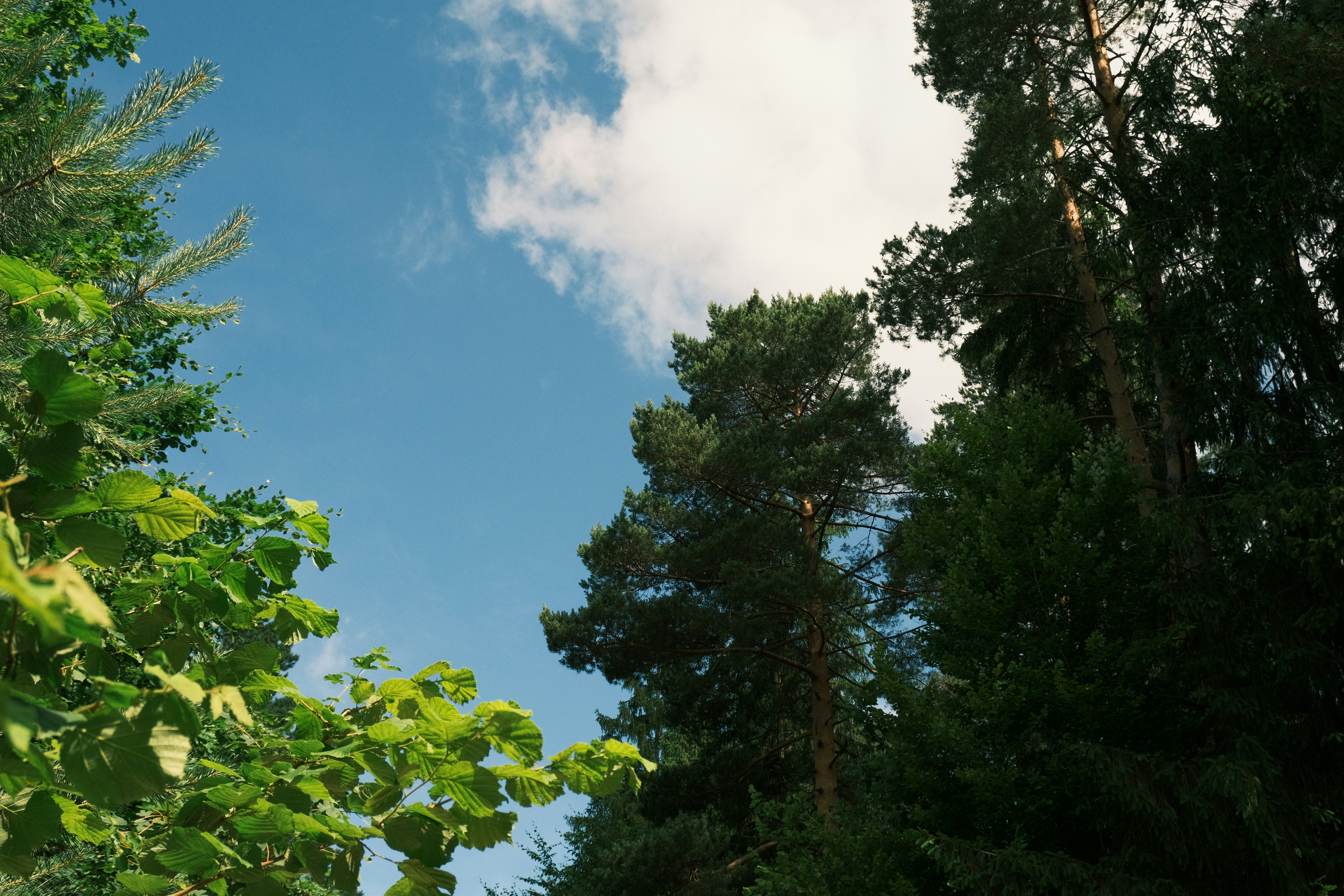 Photo by r_inascimento