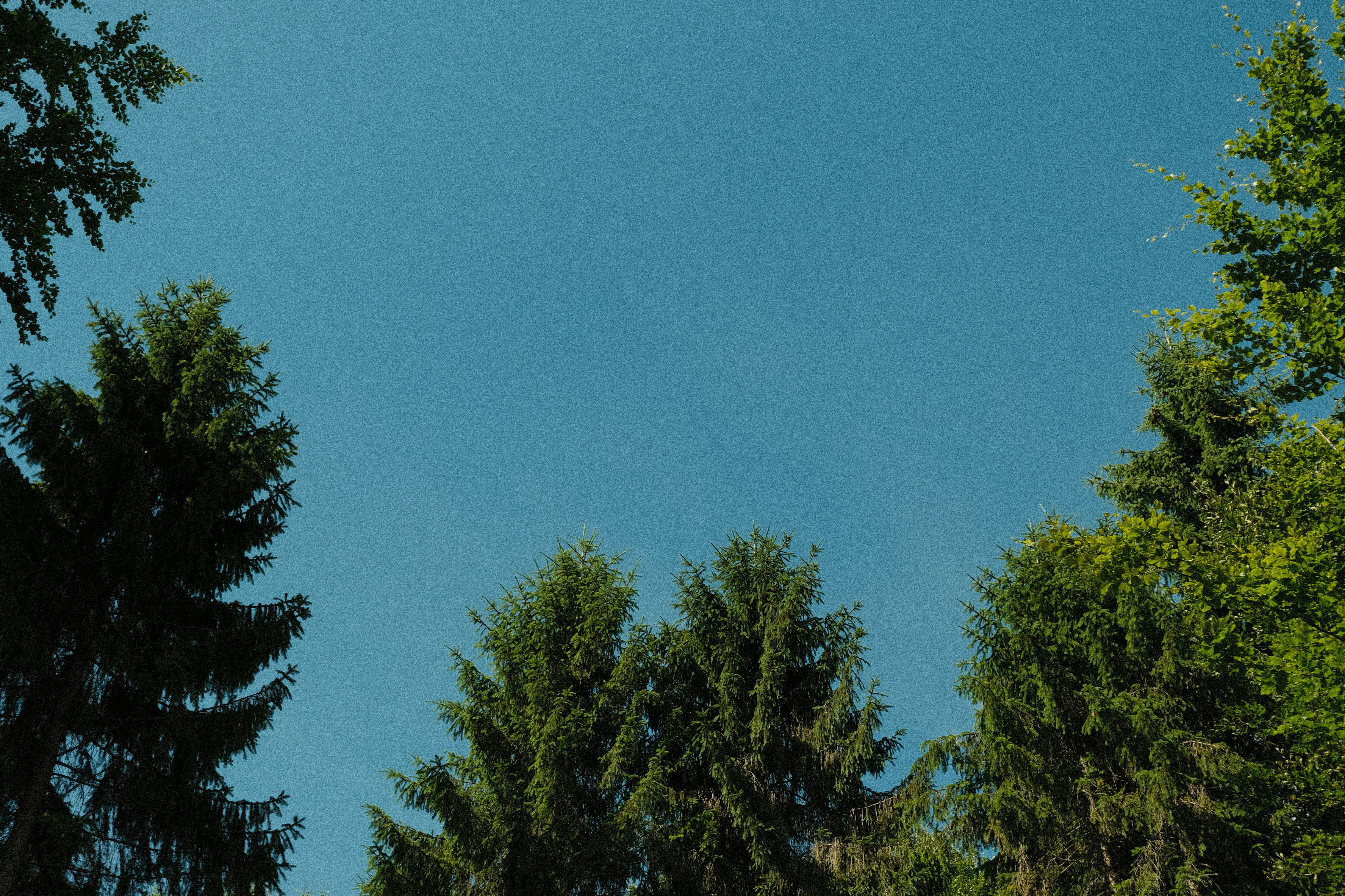 Photo by r_inascimento