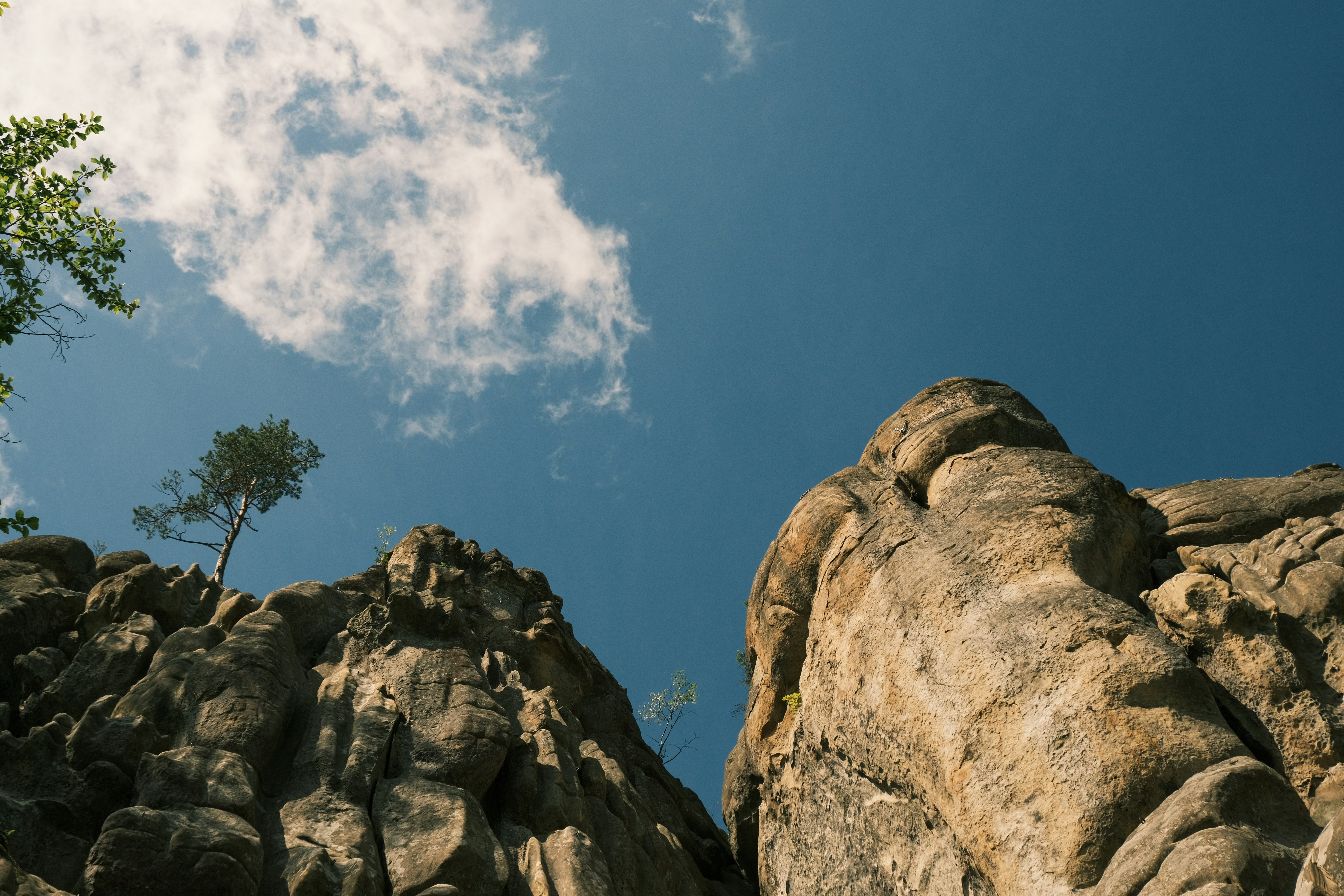 Photo by r_inascimento