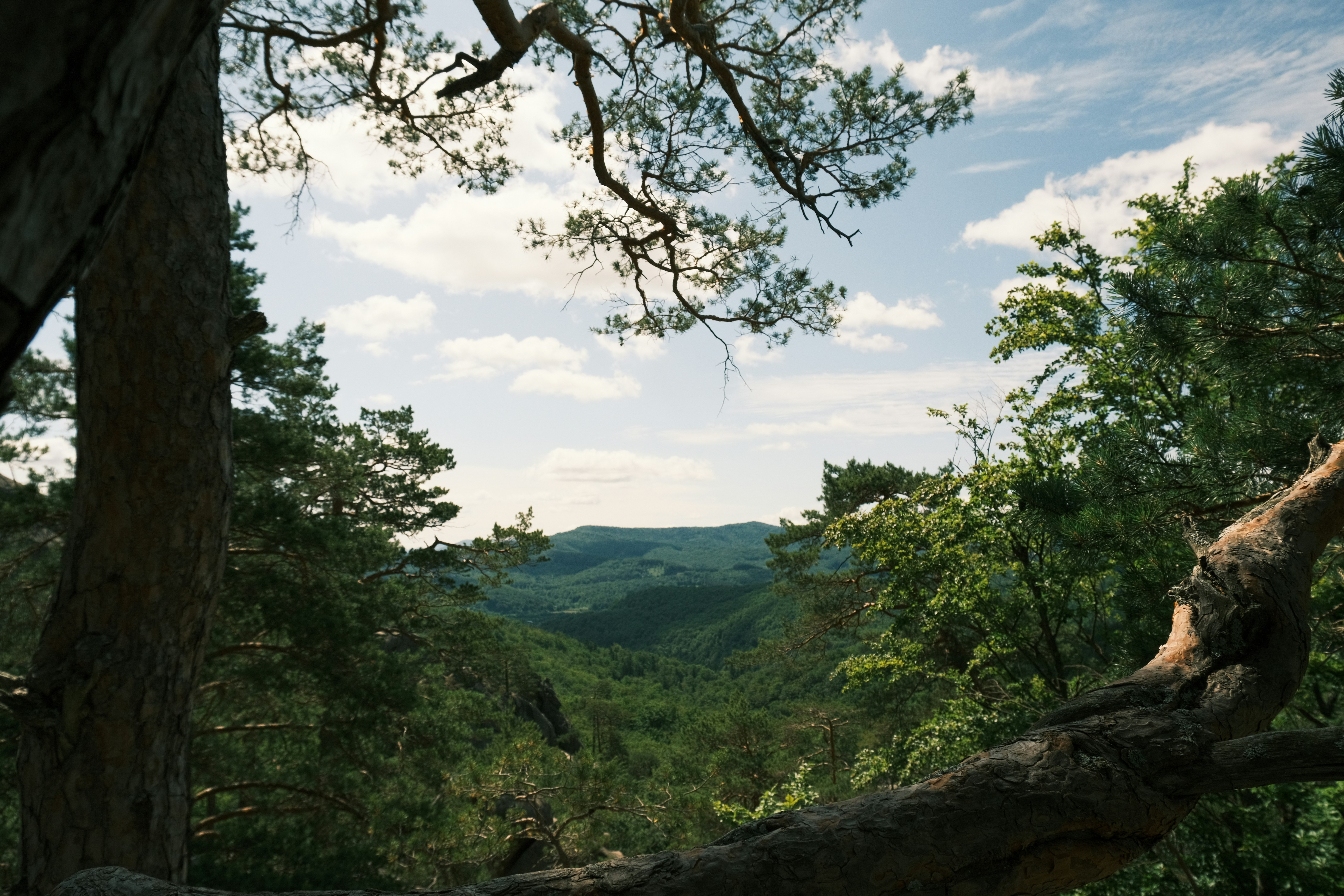 Photo by r_inascimento