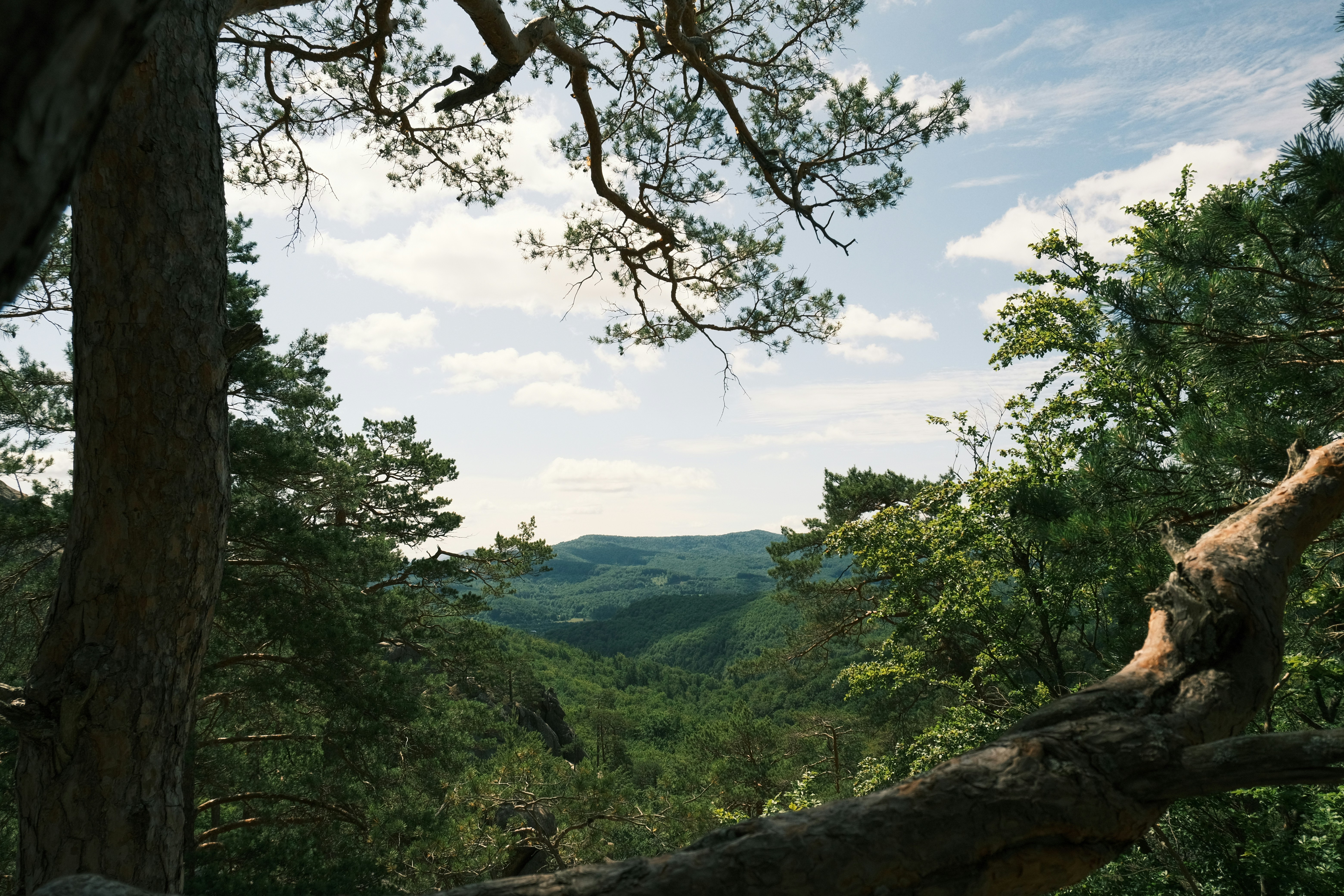 Photo by r_inascimento