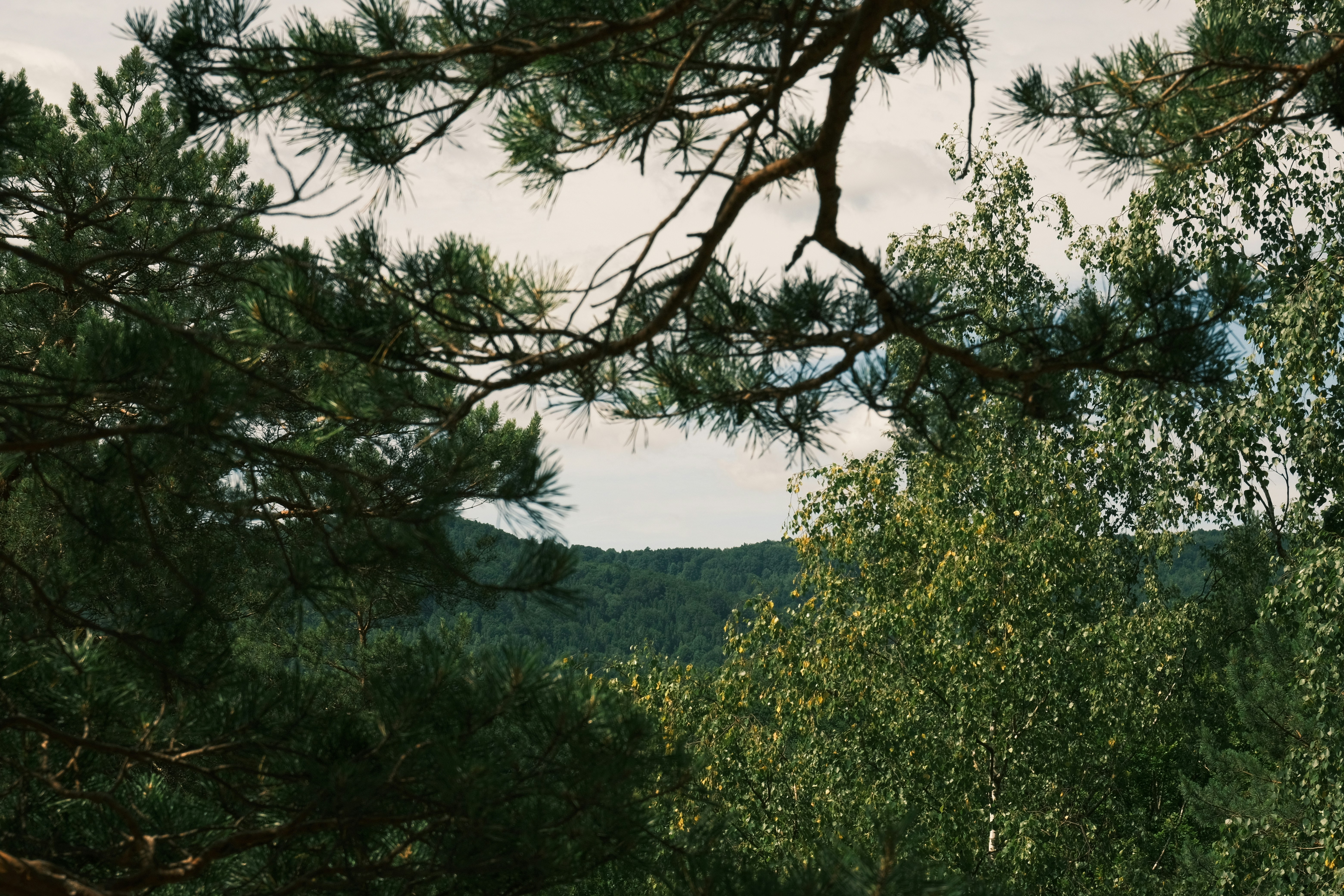 Photo by r_inascimento