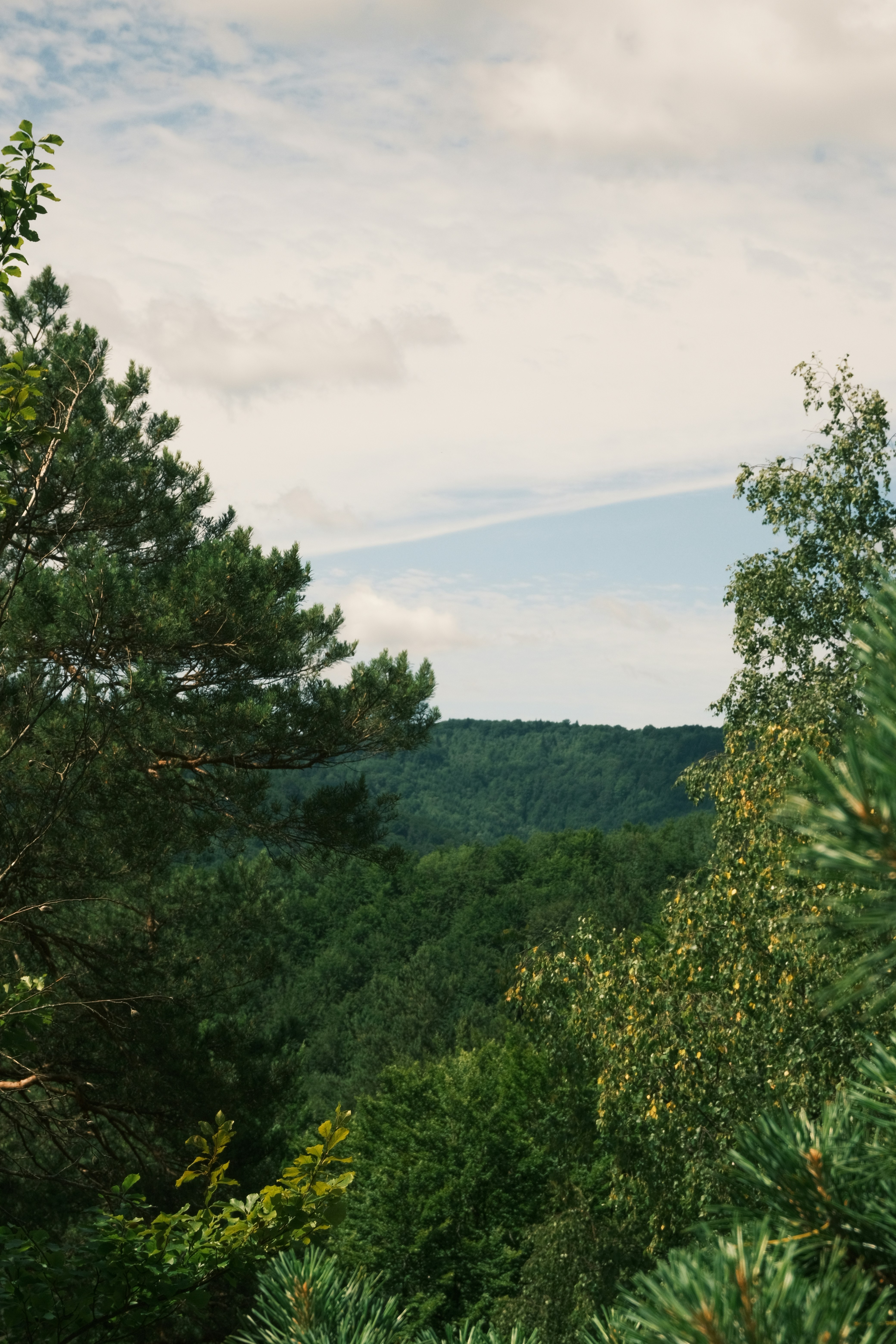 Photo by r_inascimento