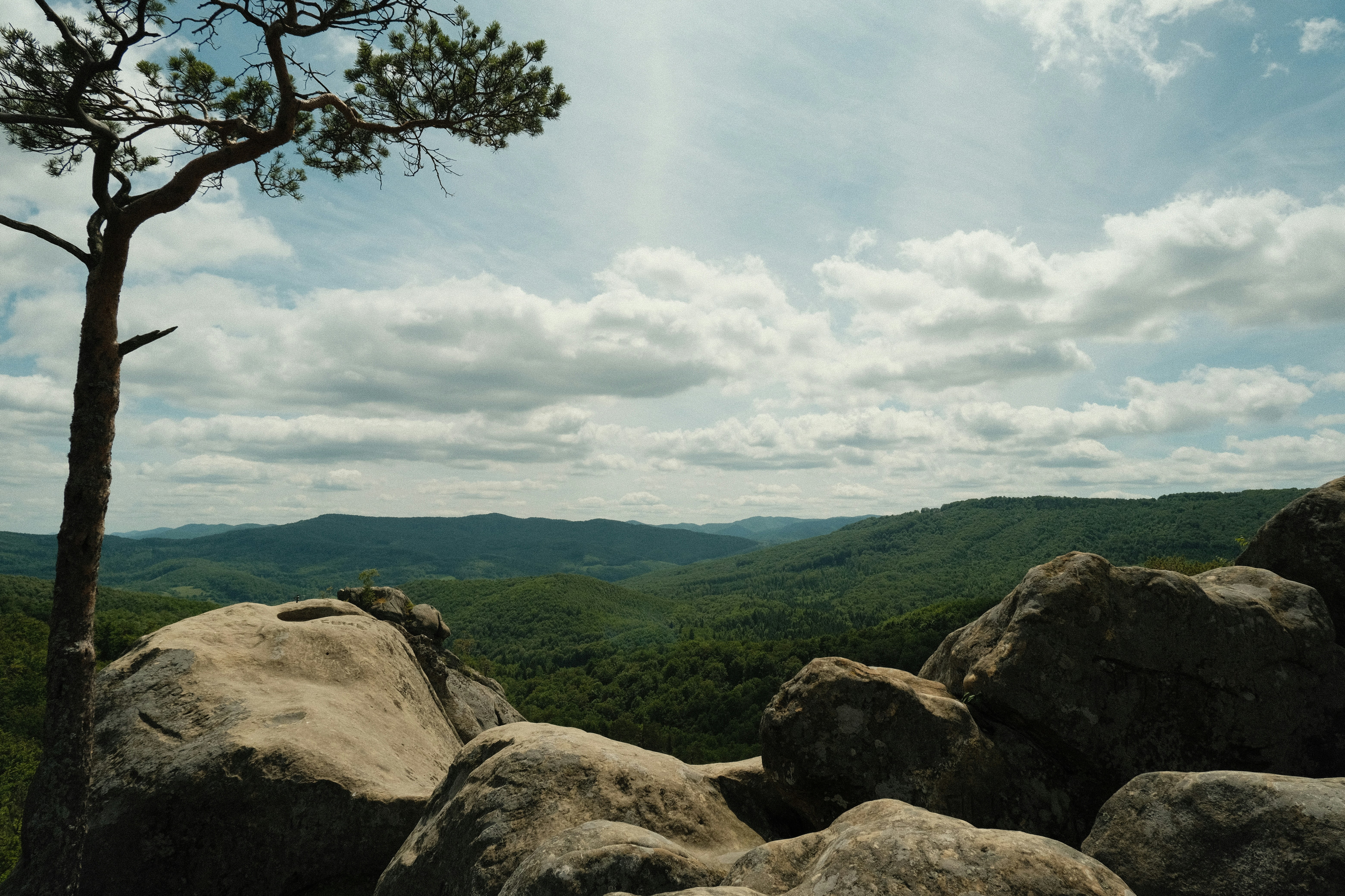 Photo by r_inascimento