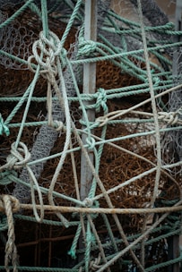 Ropes and netting are tangled in an intricate arrangement.