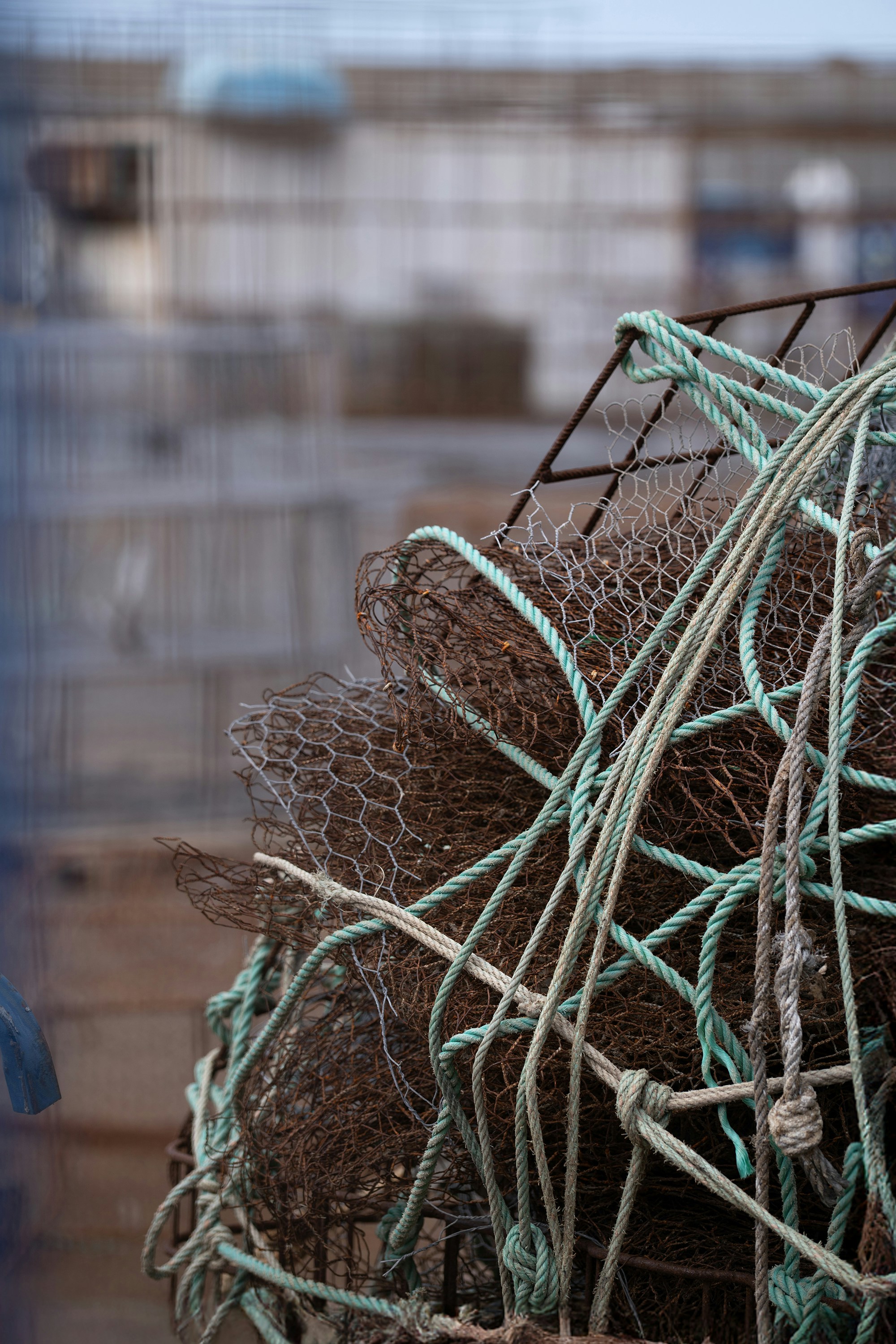 Vecchia nassa per granchi con corde e rete.