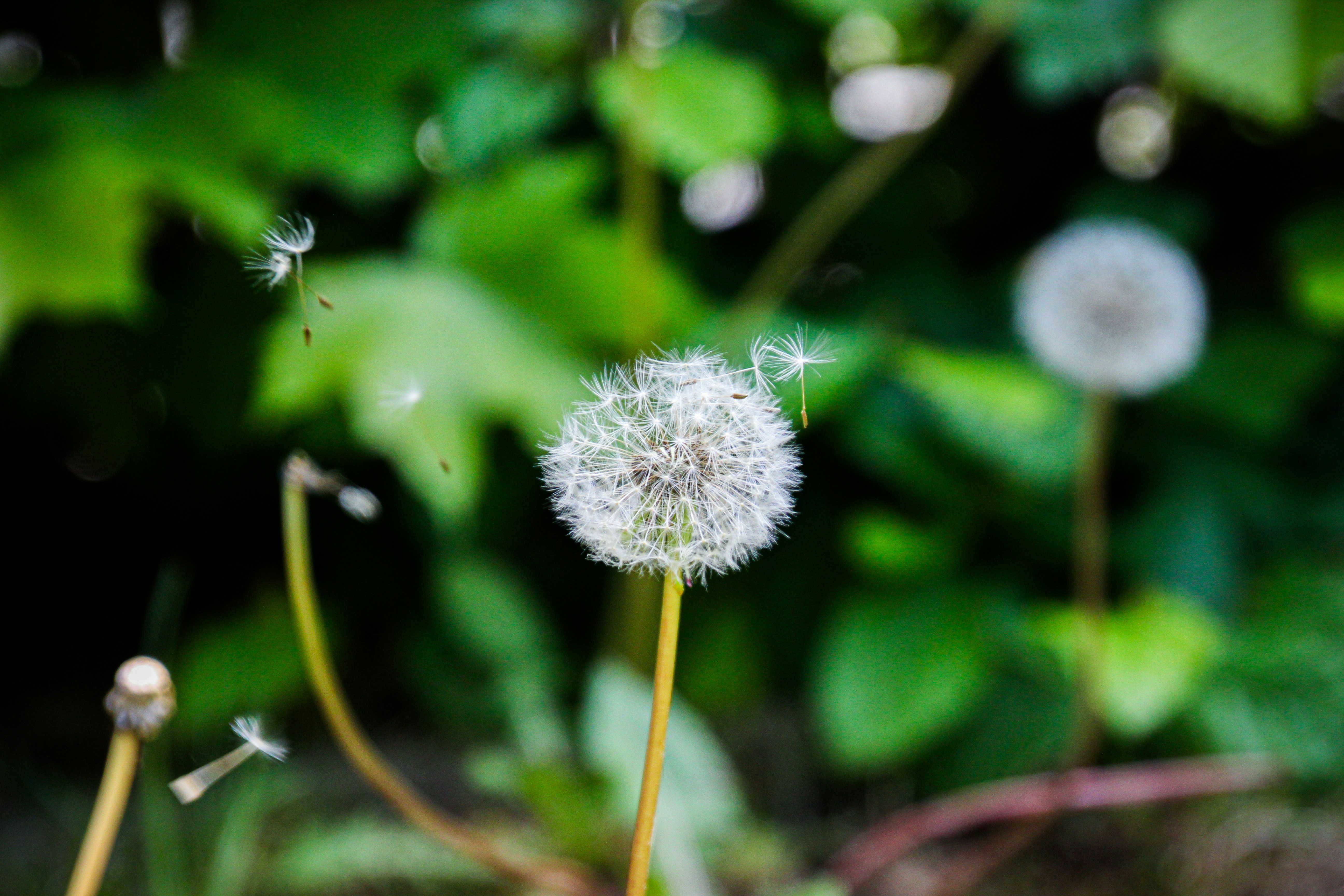 Photo by moritzschaef