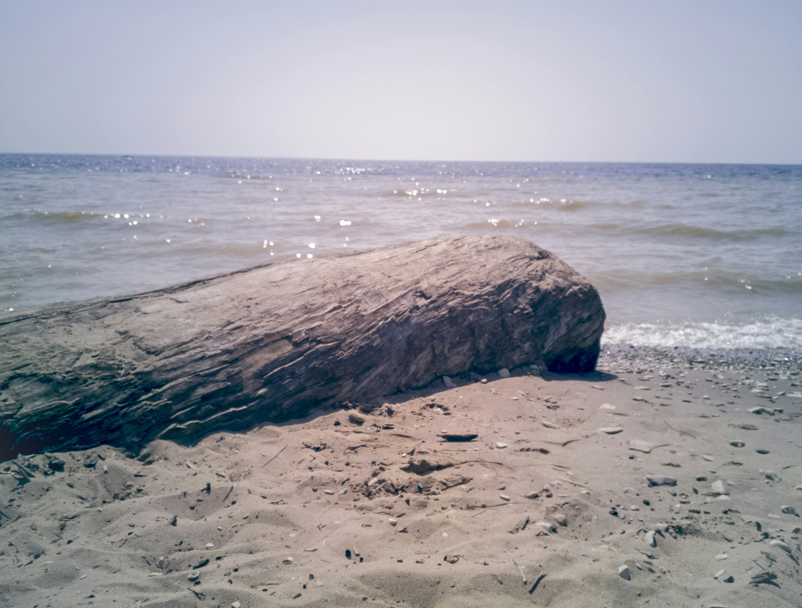 Photo by adevaleev