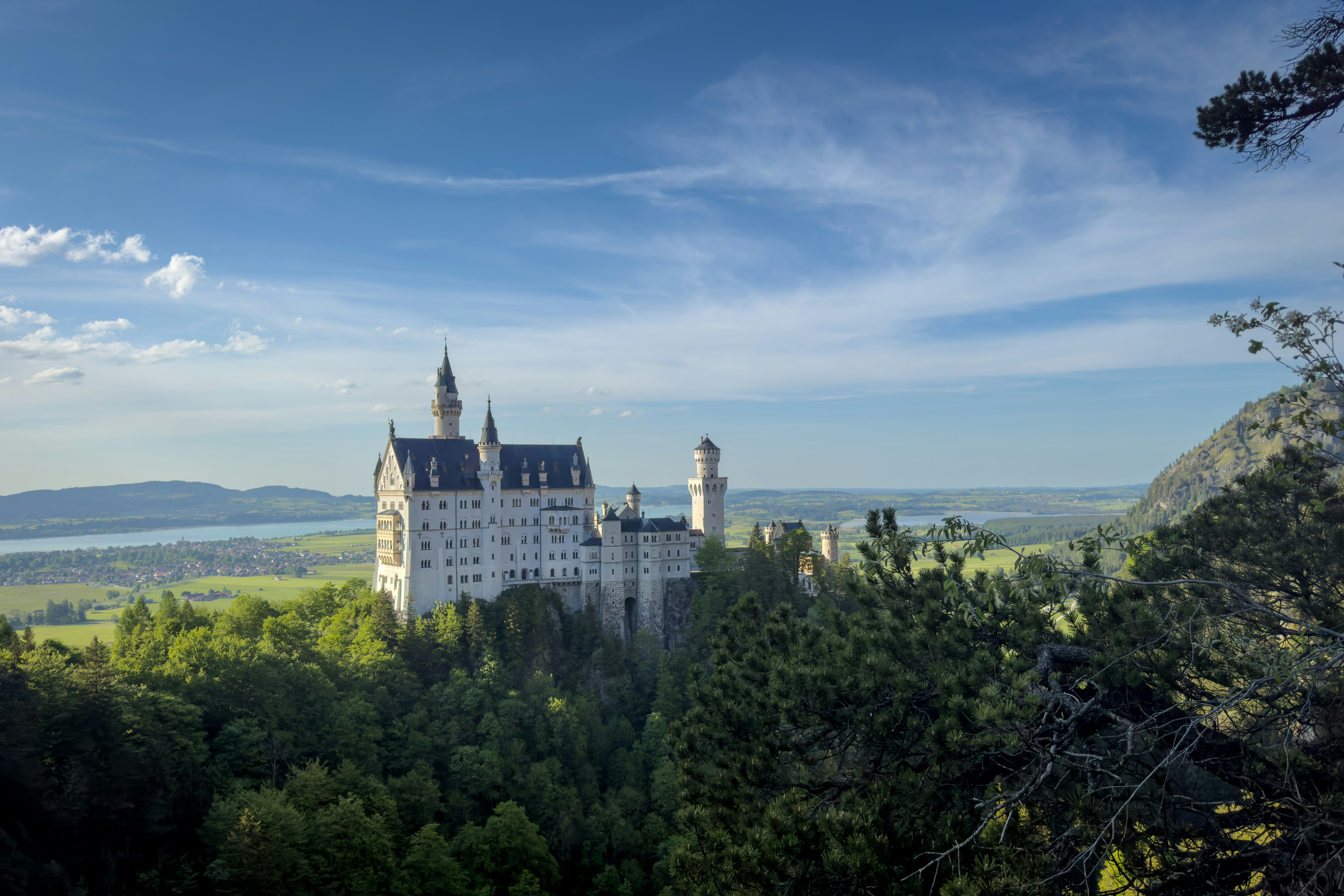 Il castello di Neuschwanstein si trova in cima a una lussureggiante collina verdeggiante.