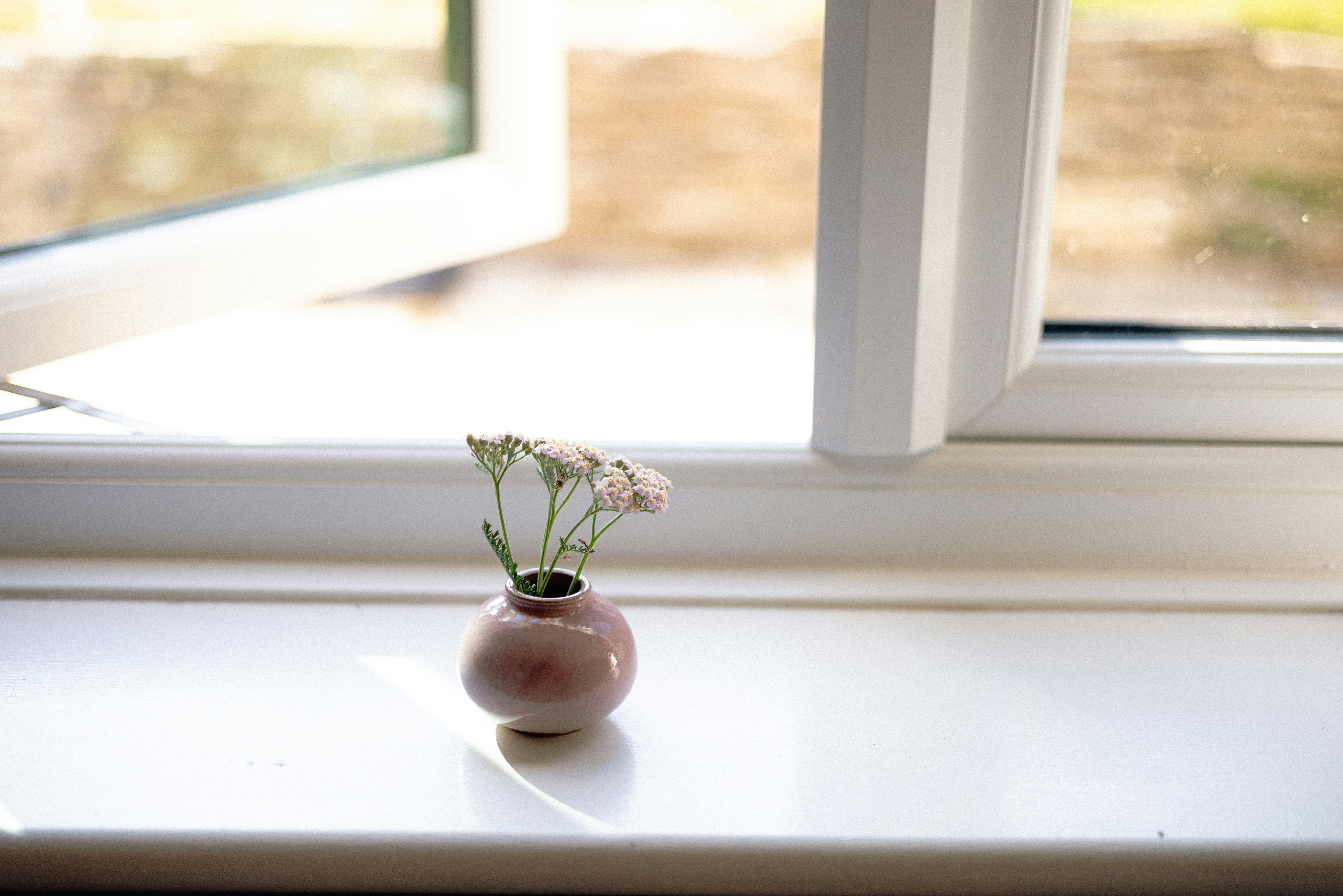 Photo by anniespratt