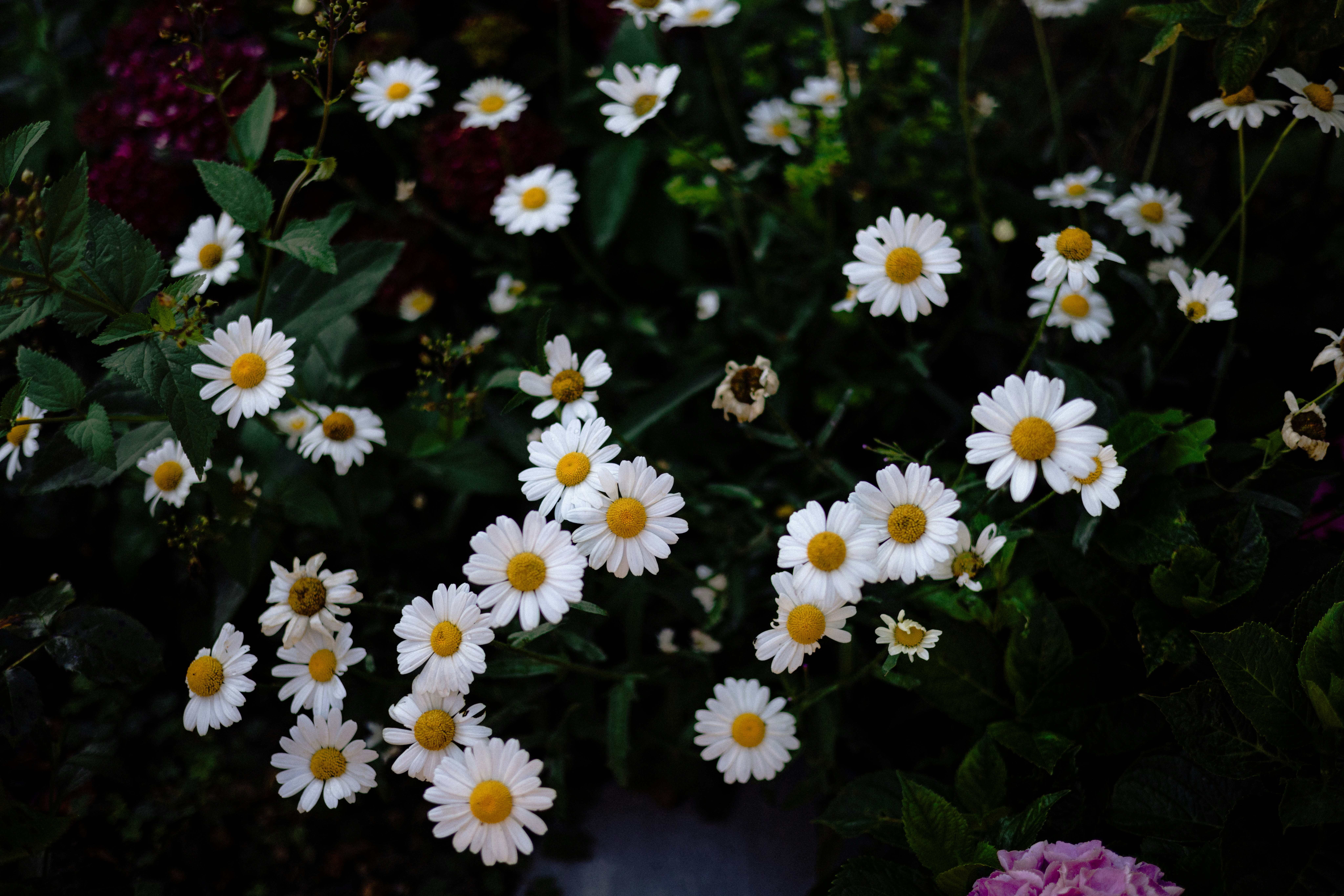 Photo by anniespratt