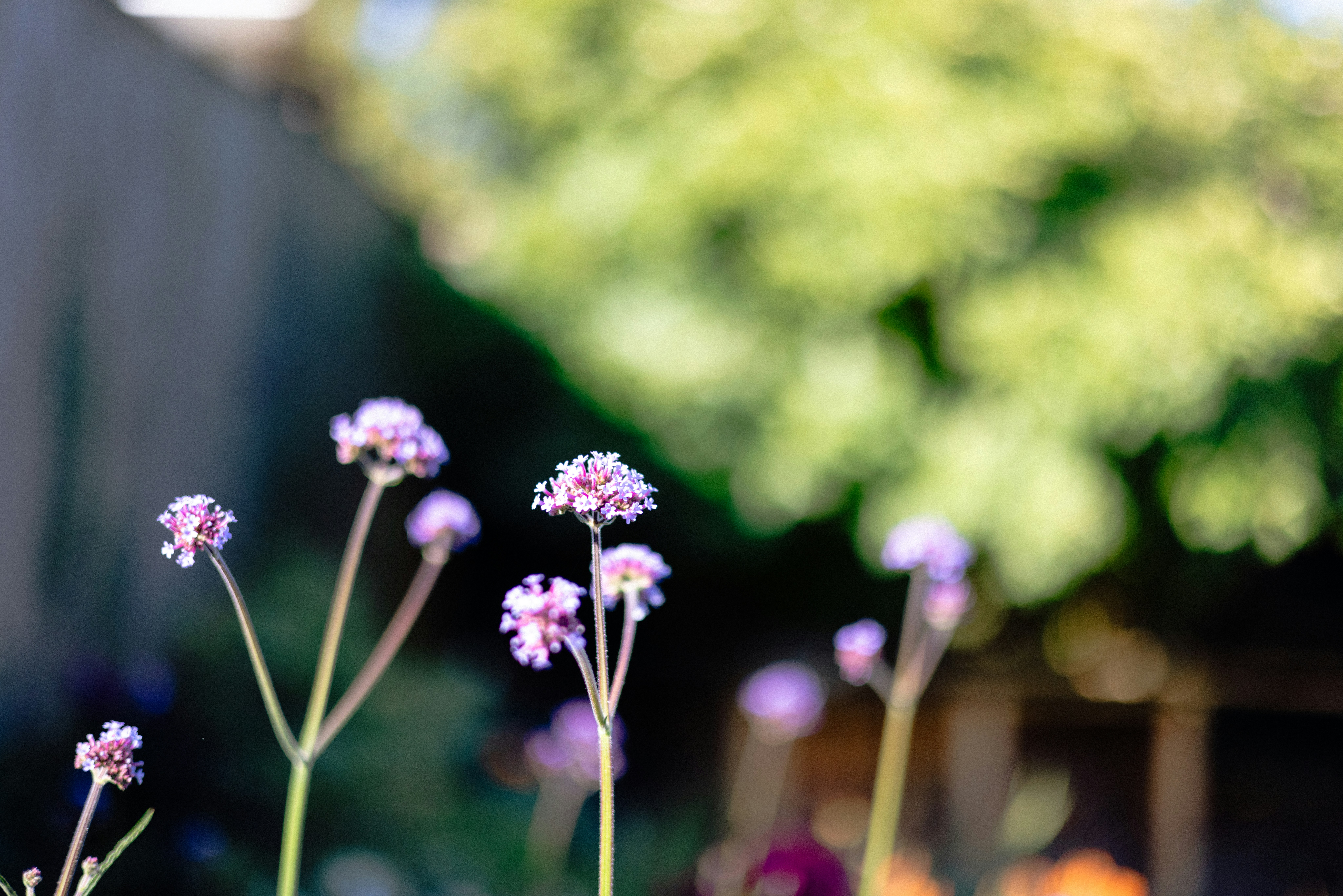 Photo by anniespratt