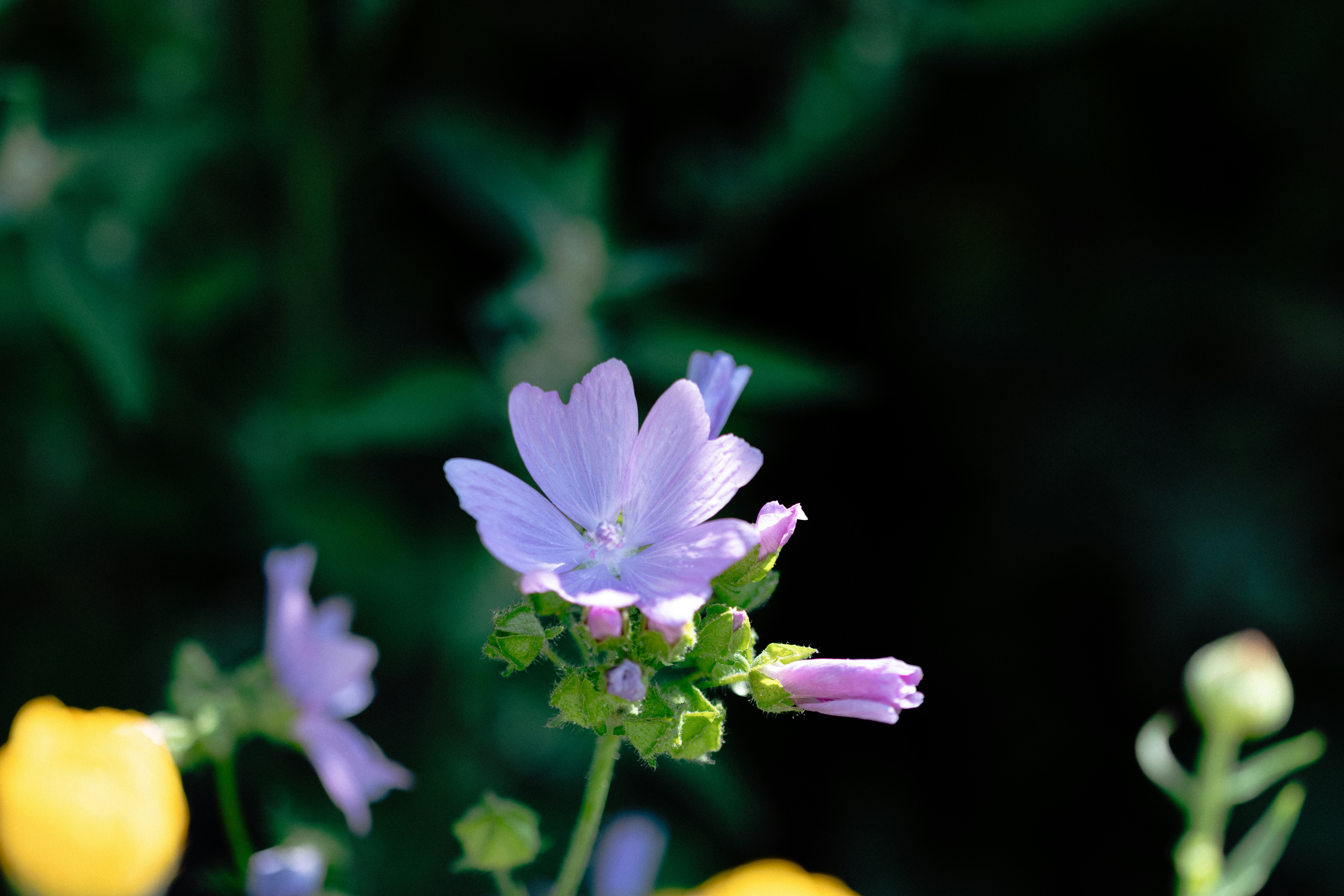 Photo by anniespratt