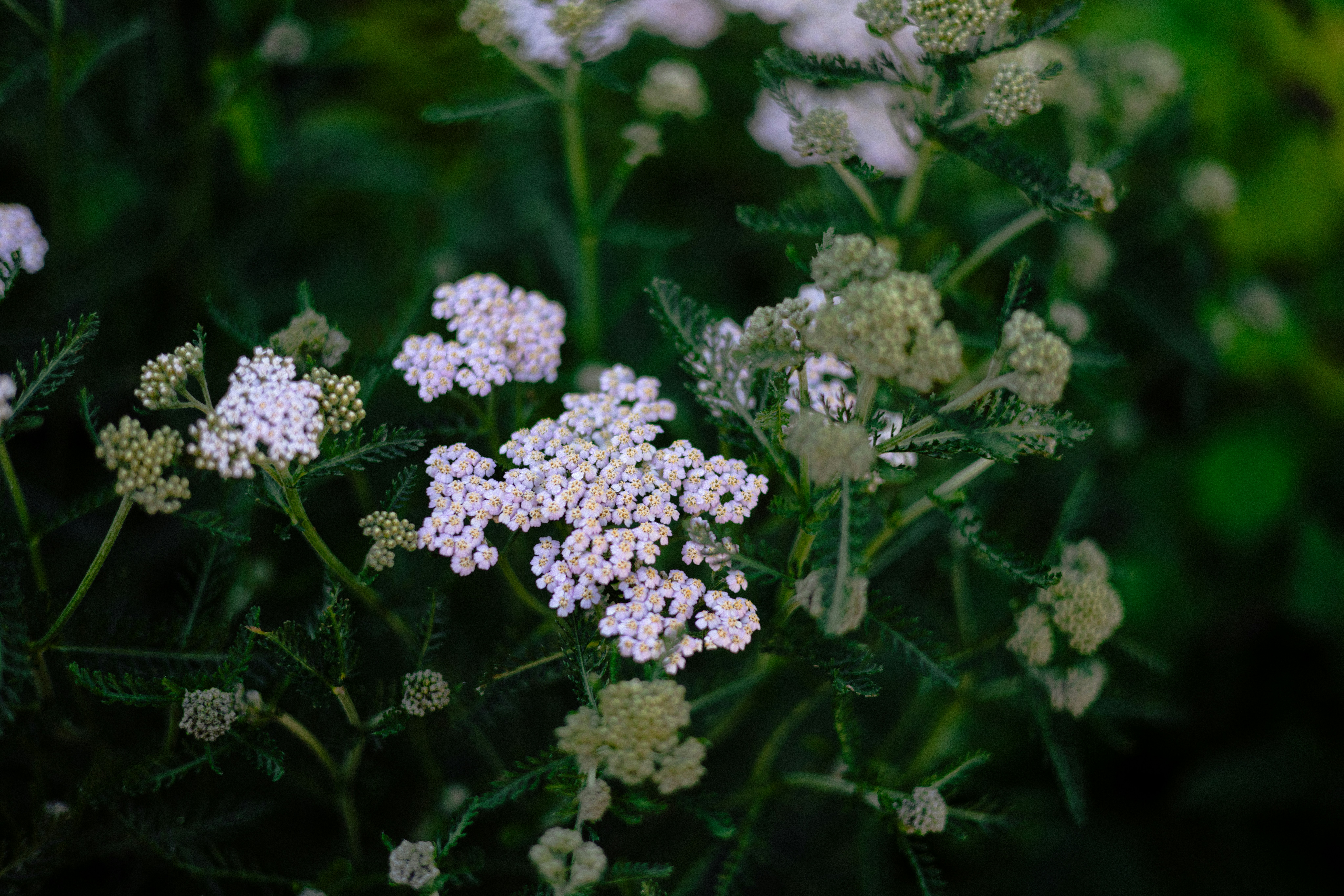 Photo by anniespratt