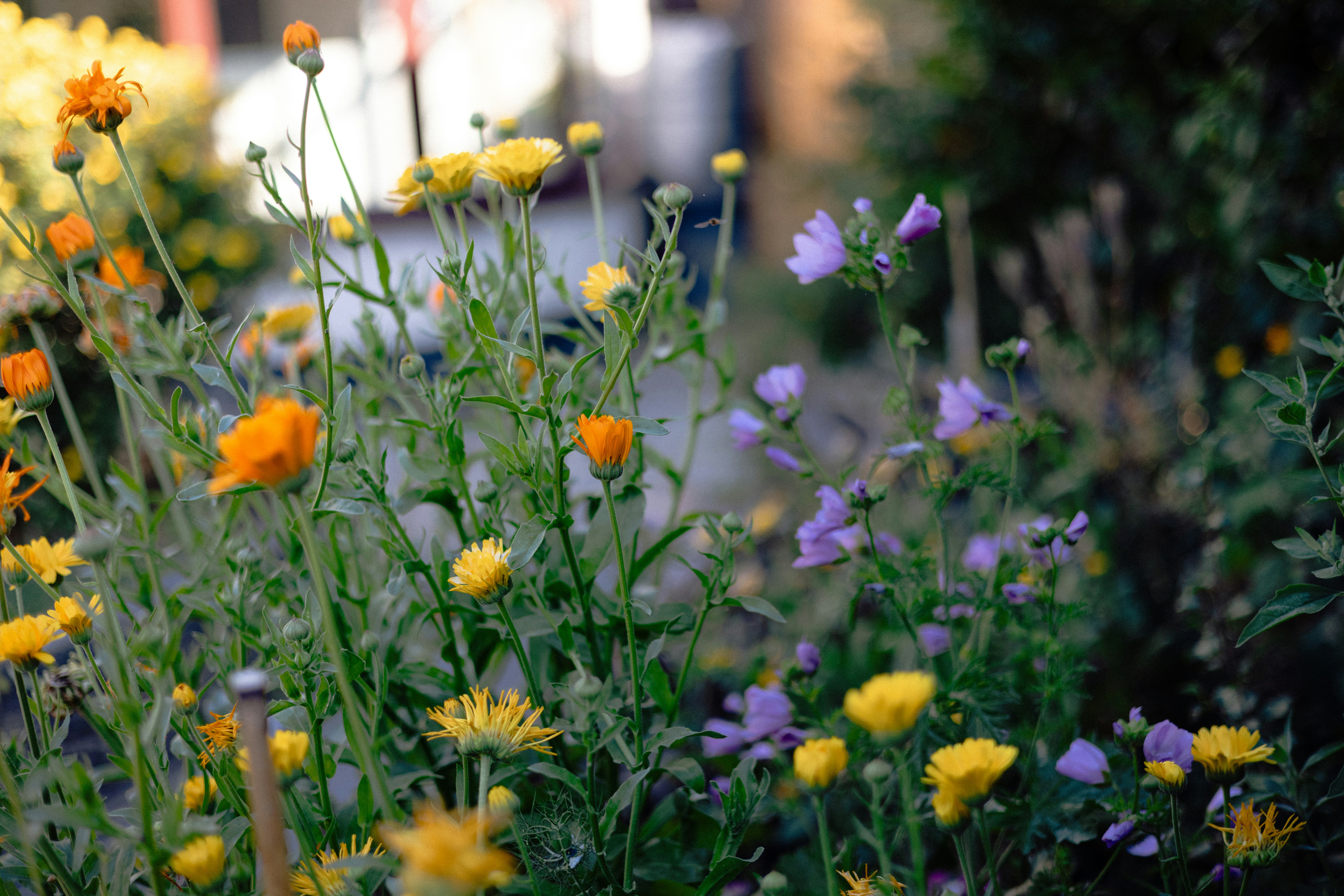 Photo by anniespratt