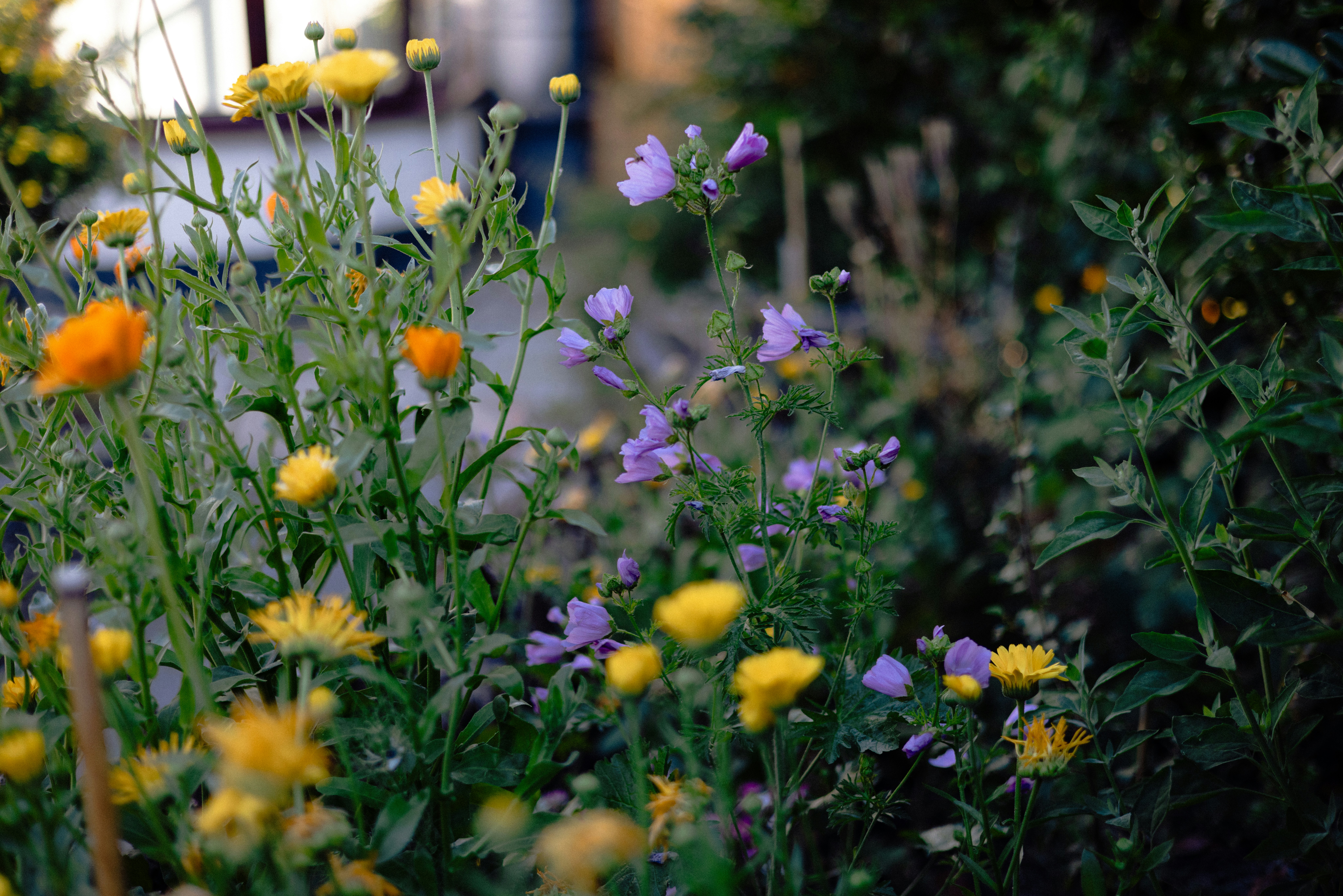 Photo by anniespratt