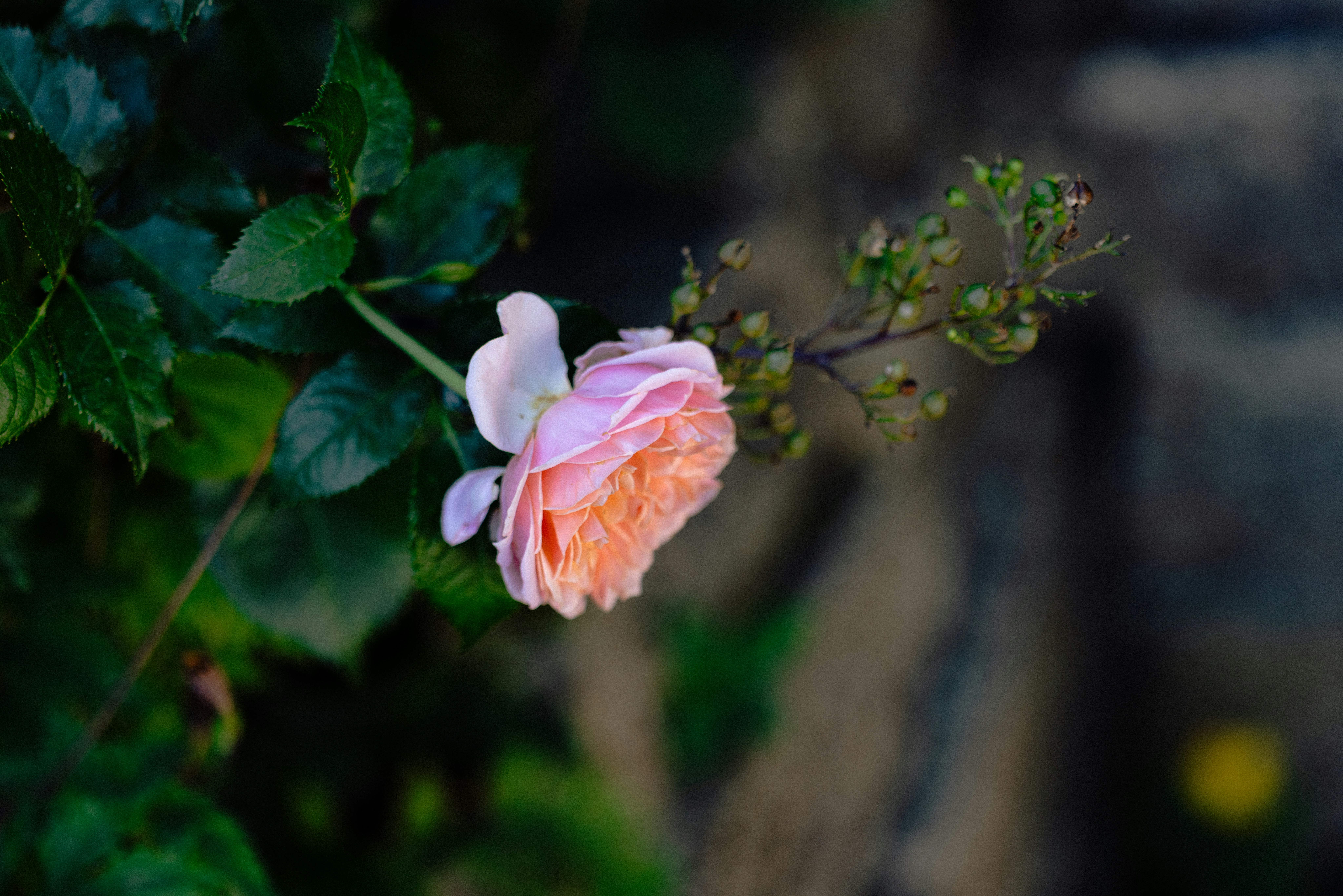 Photo by anniespratt