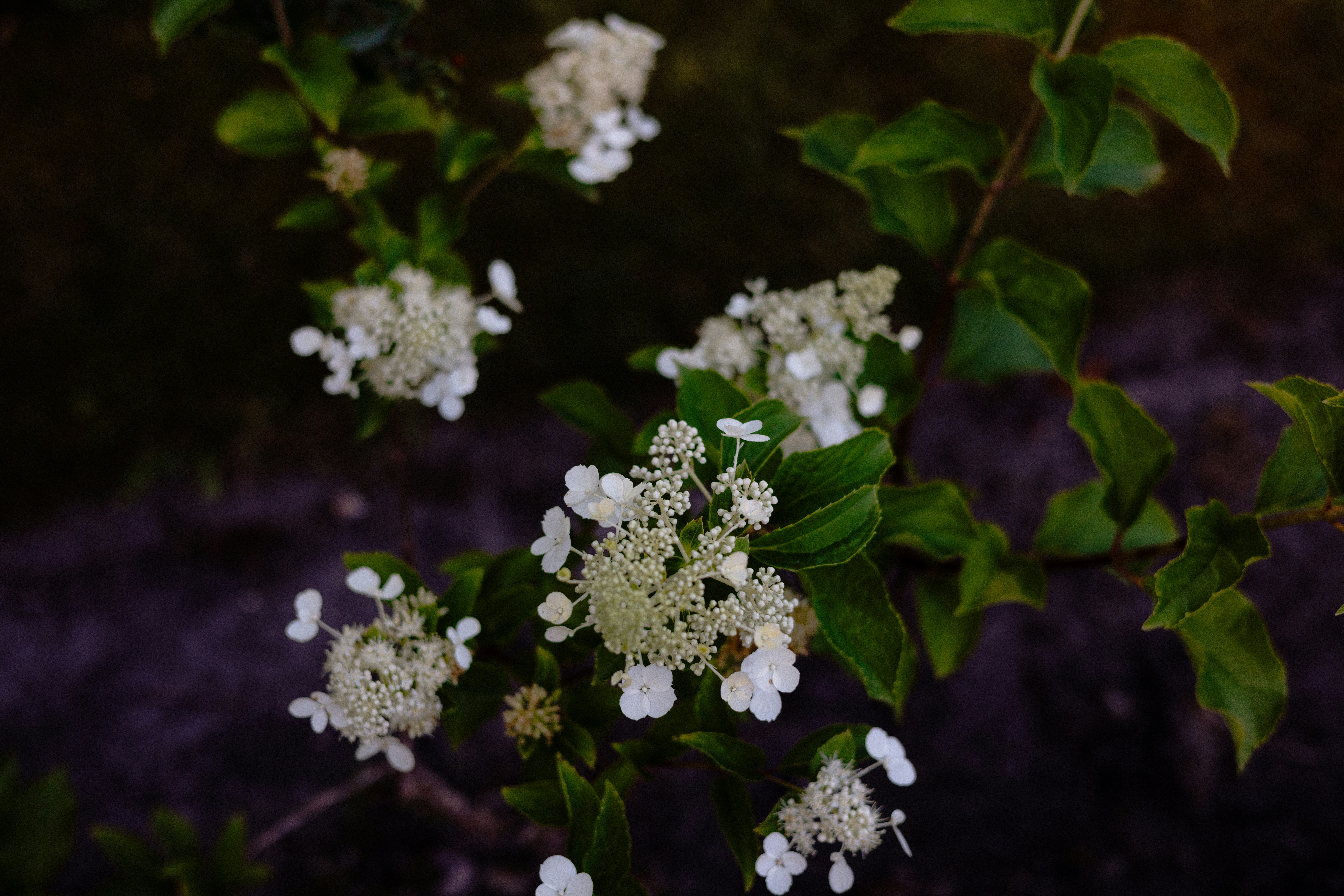 Photo by anniespratt