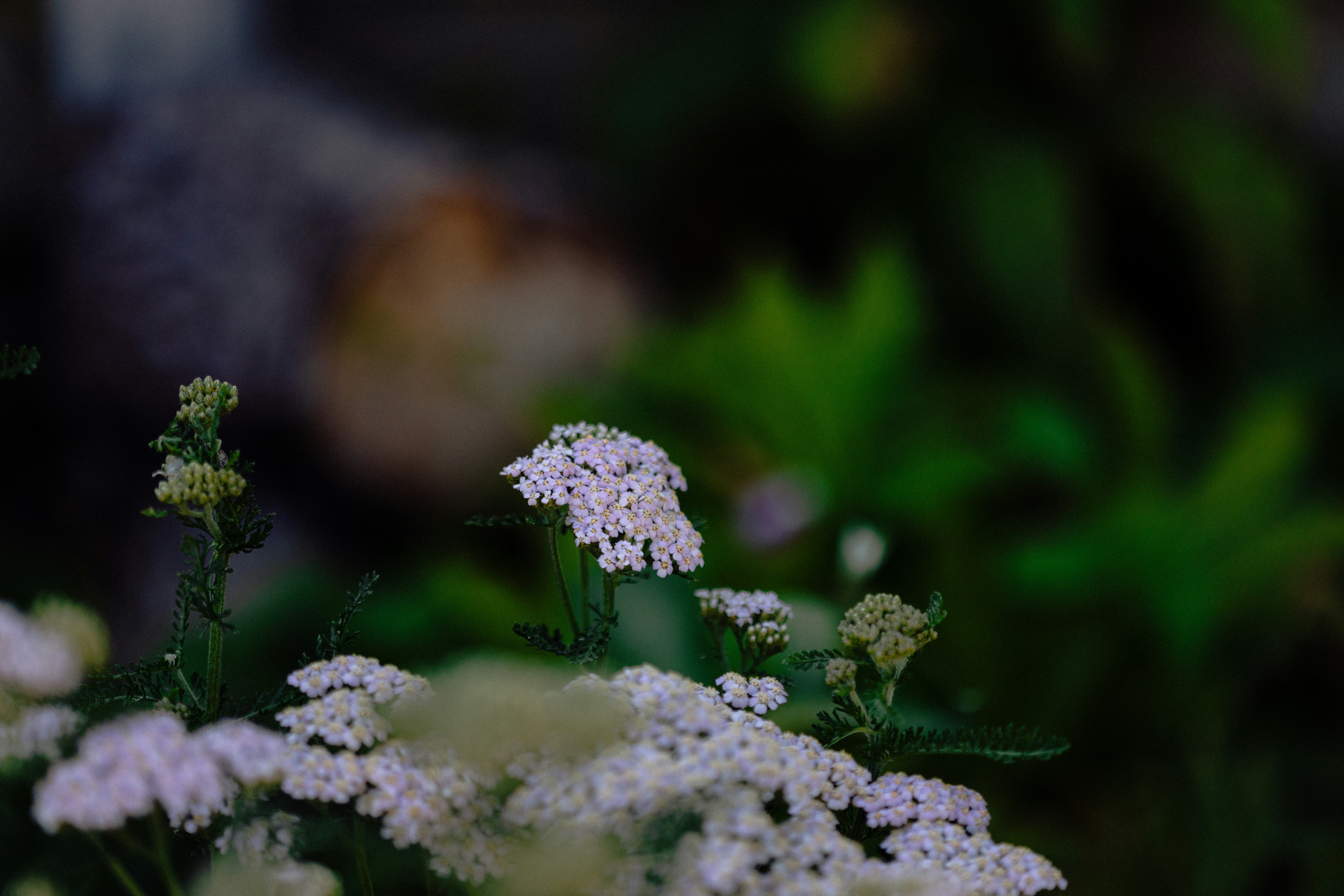 Photo by anniespratt