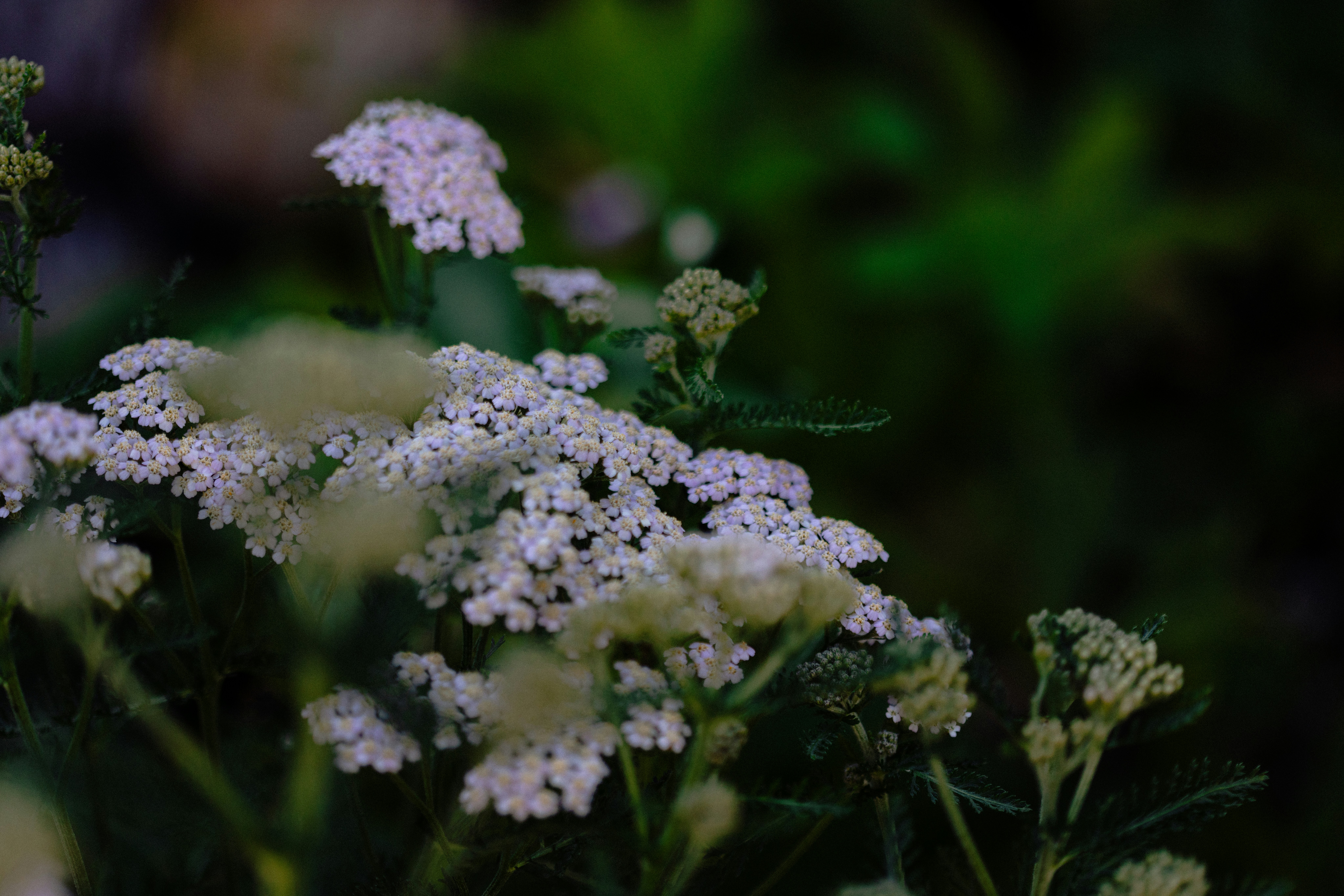 Photo by anniespratt