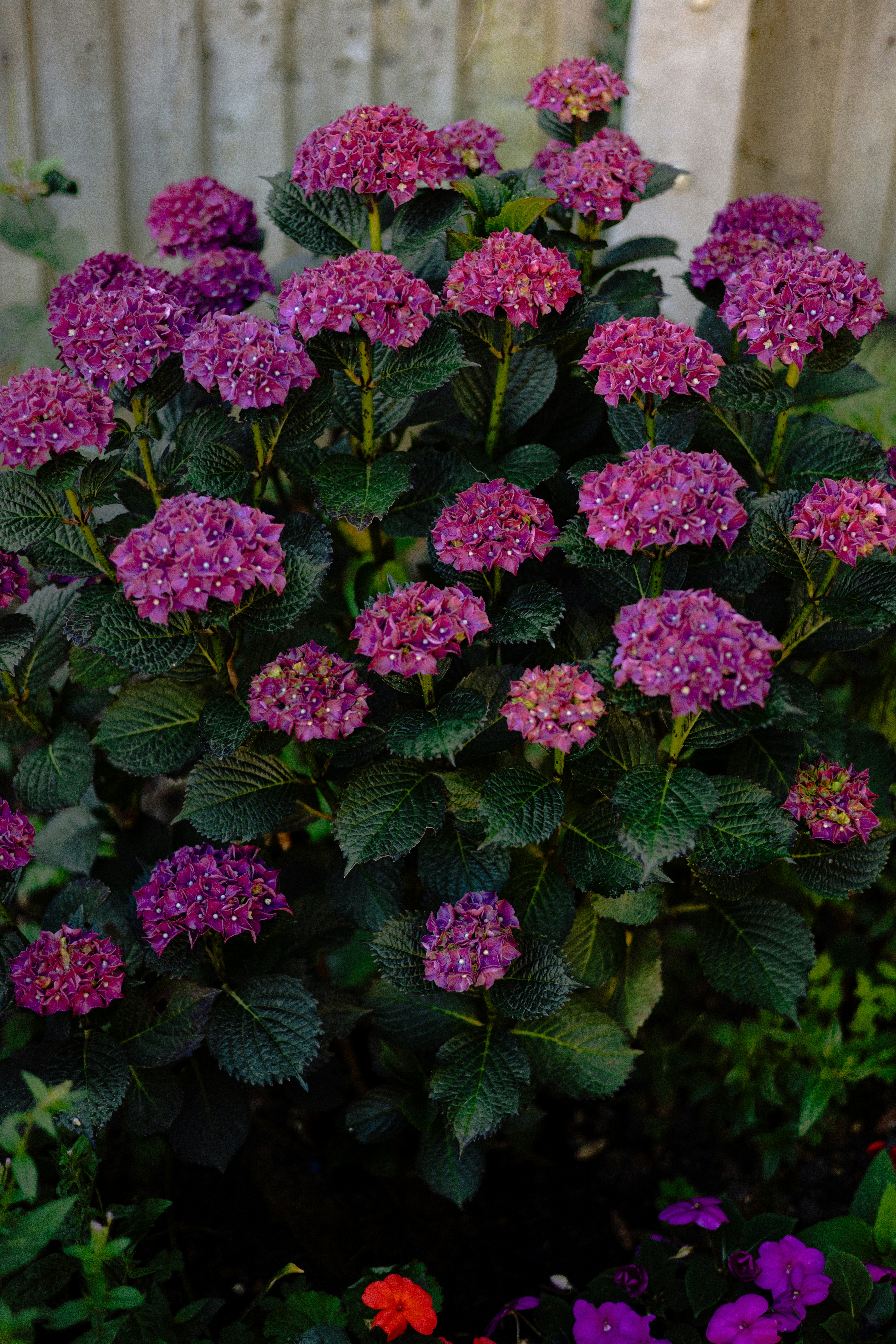 Photo by anniespratt