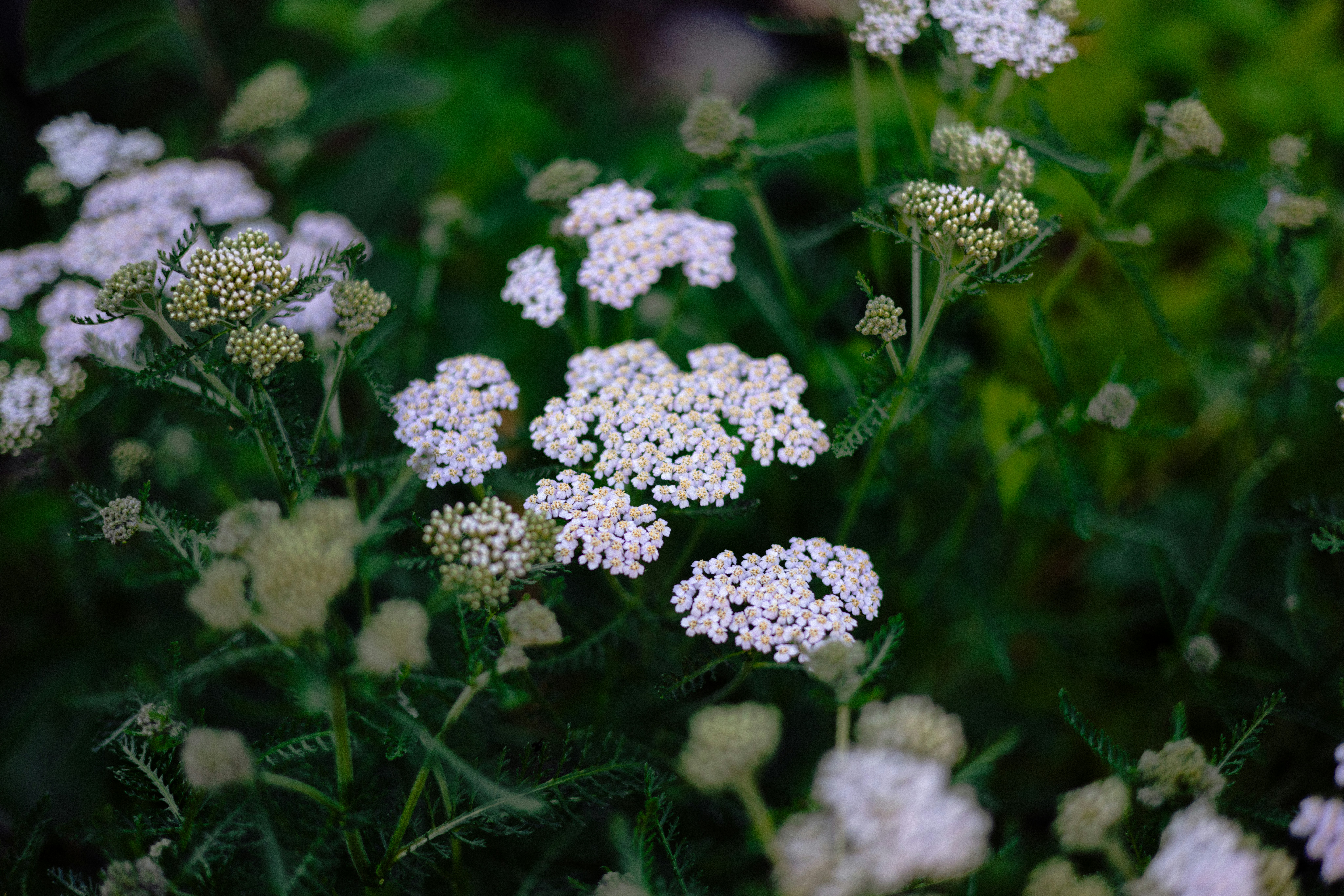 Photo by anniespratt