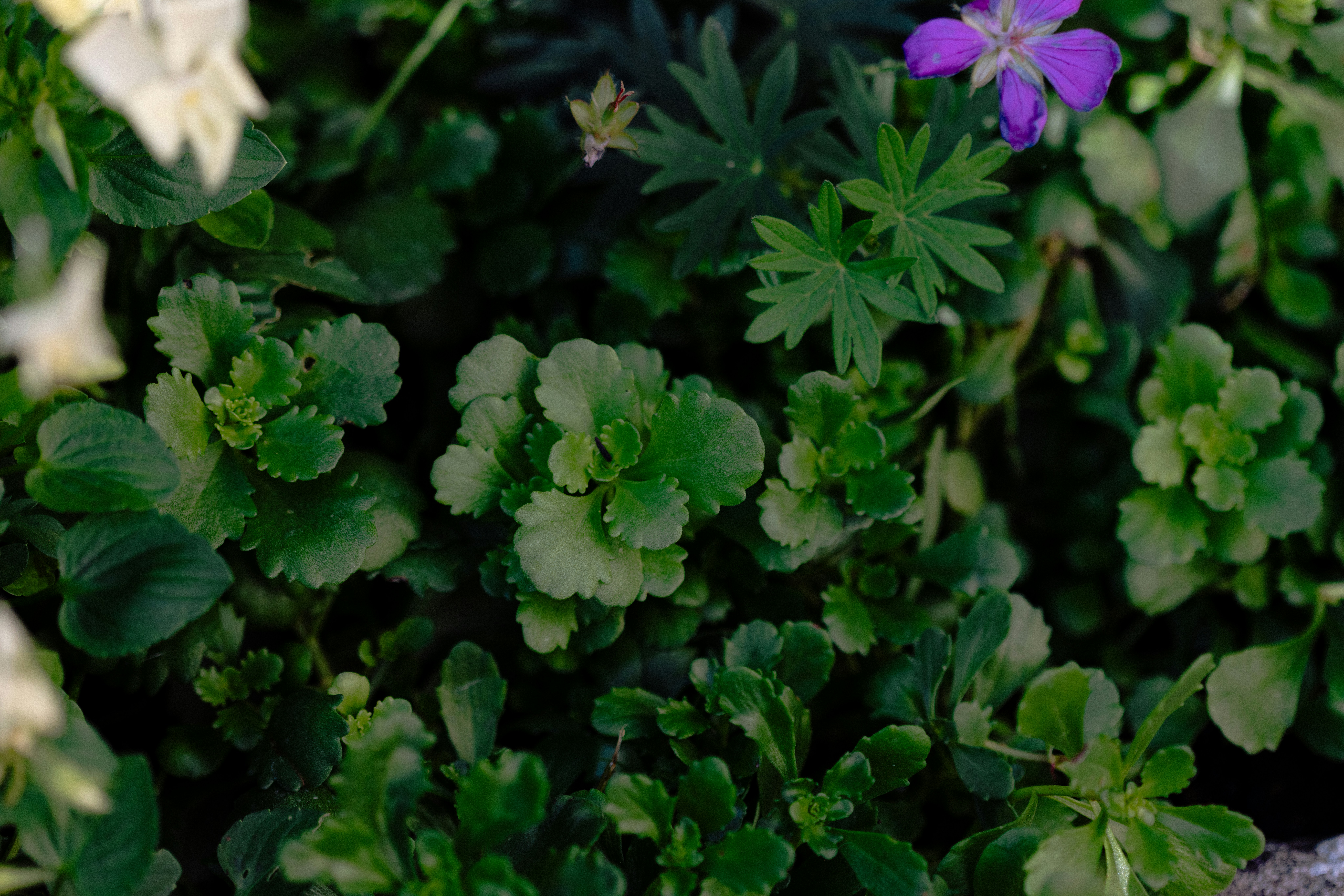 Photo by anniespratt