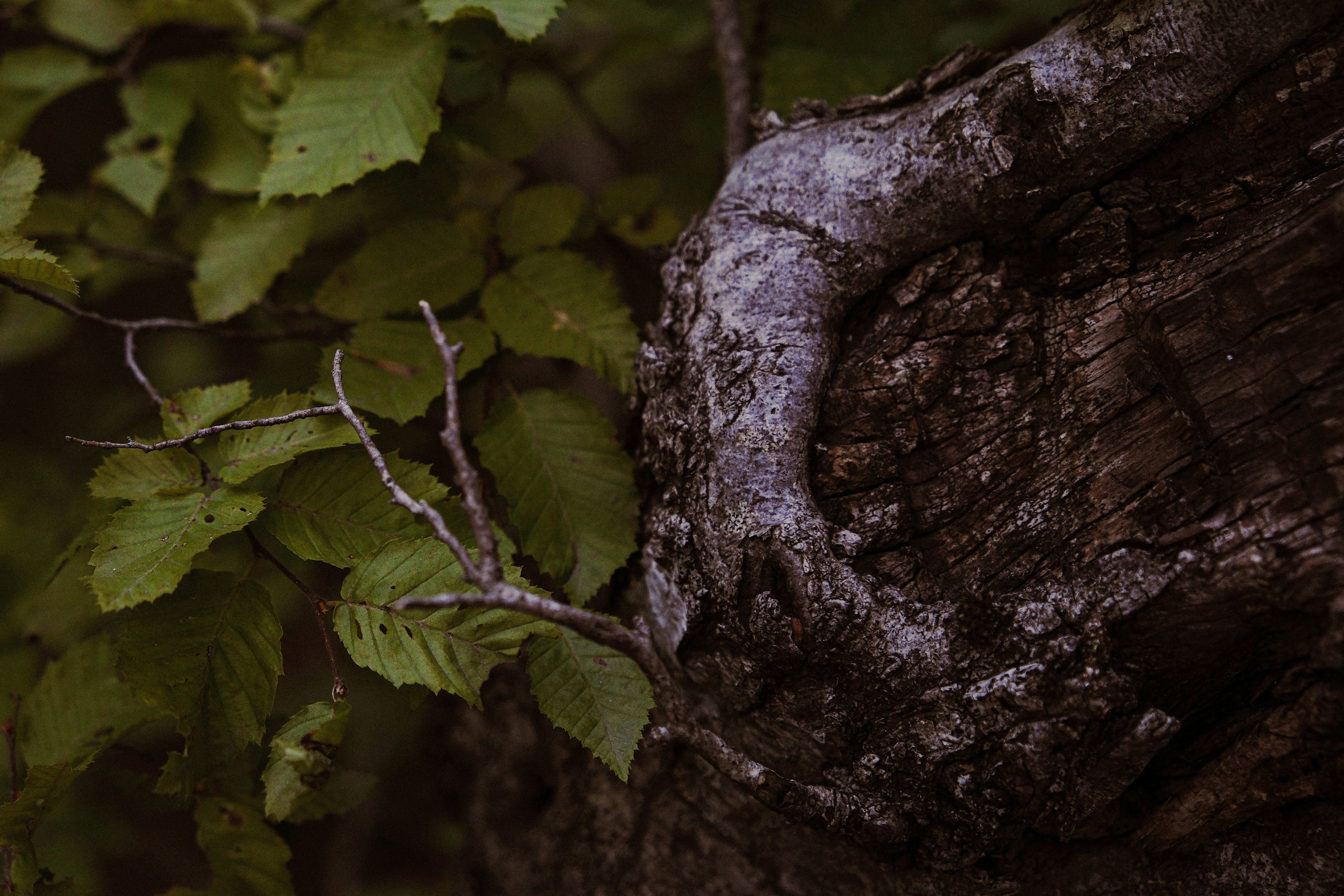 Photo by elenasizontseva