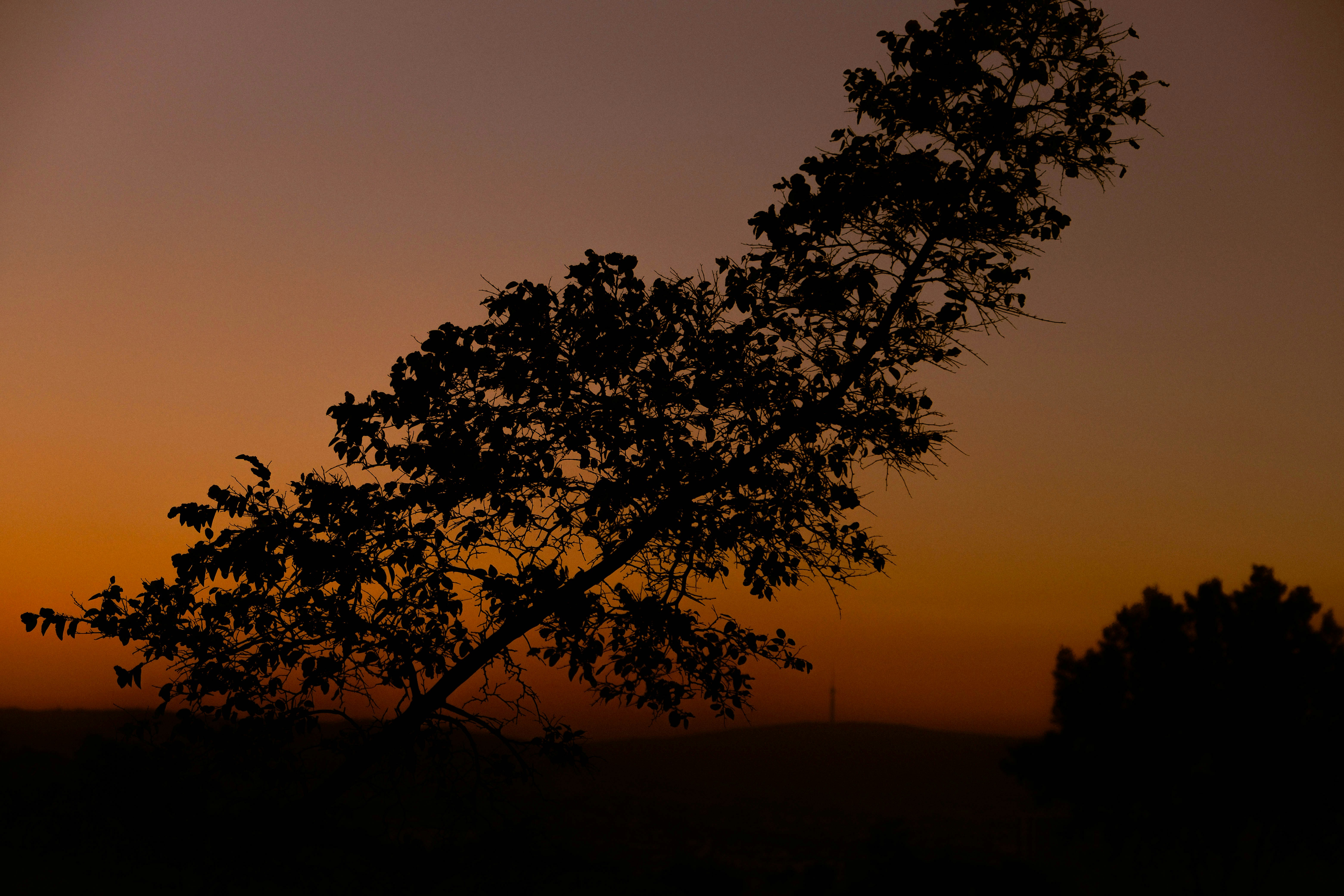 Photo by elenasizontseva