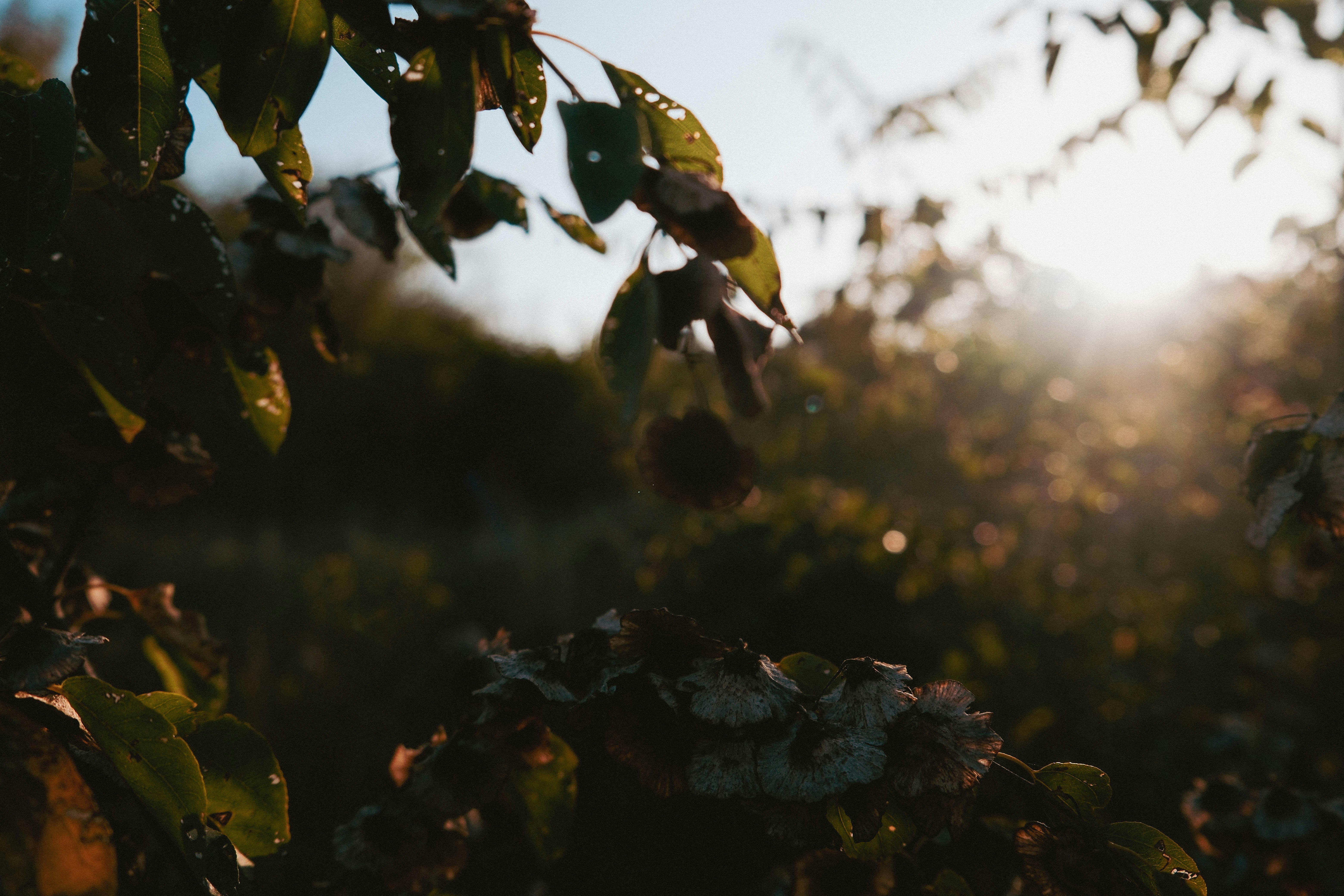 Photo by elenasizontseva