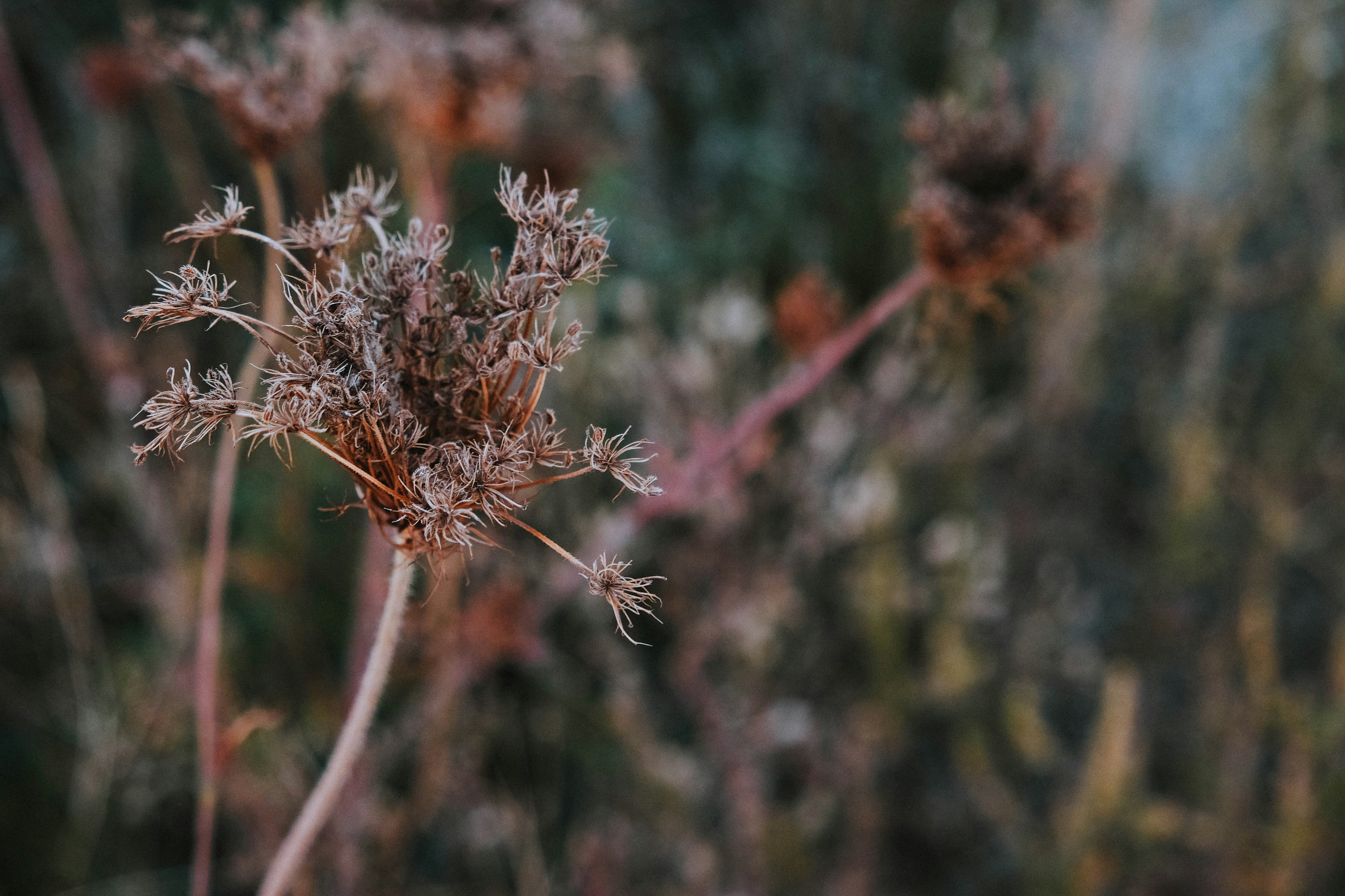 Photo by elenasizontseva