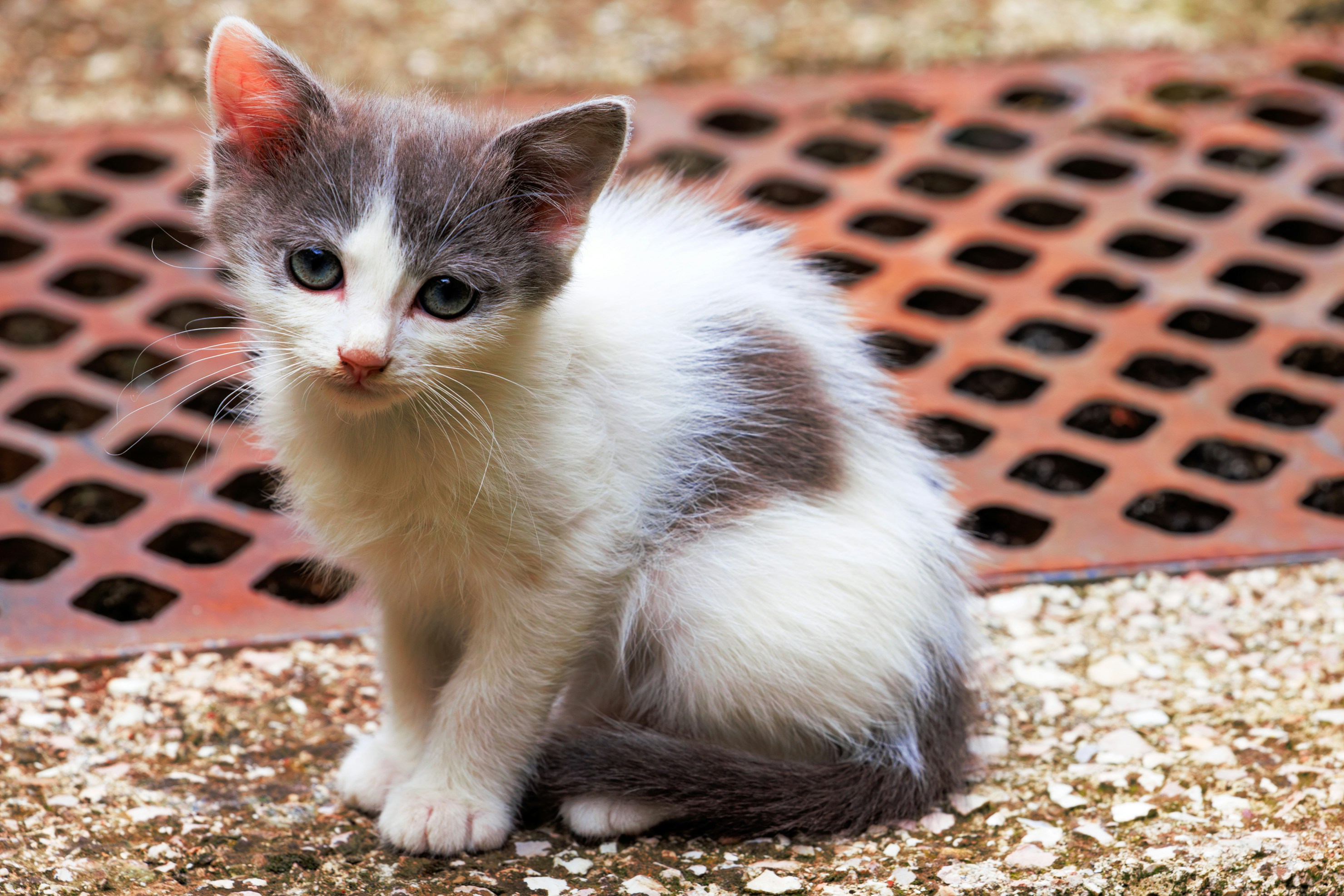 Photo by cristoforobonissone