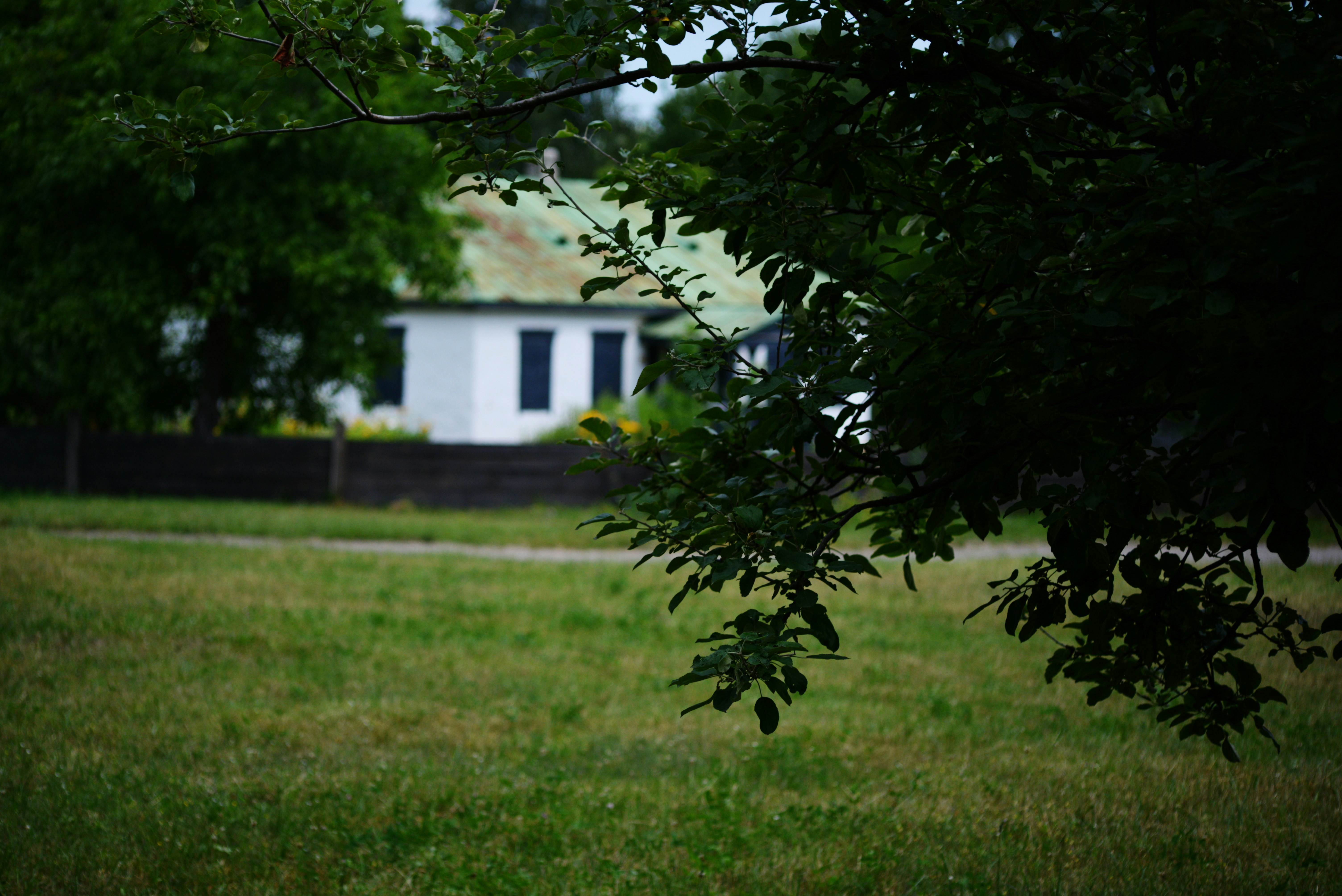 Photo by cherstve_pechivo