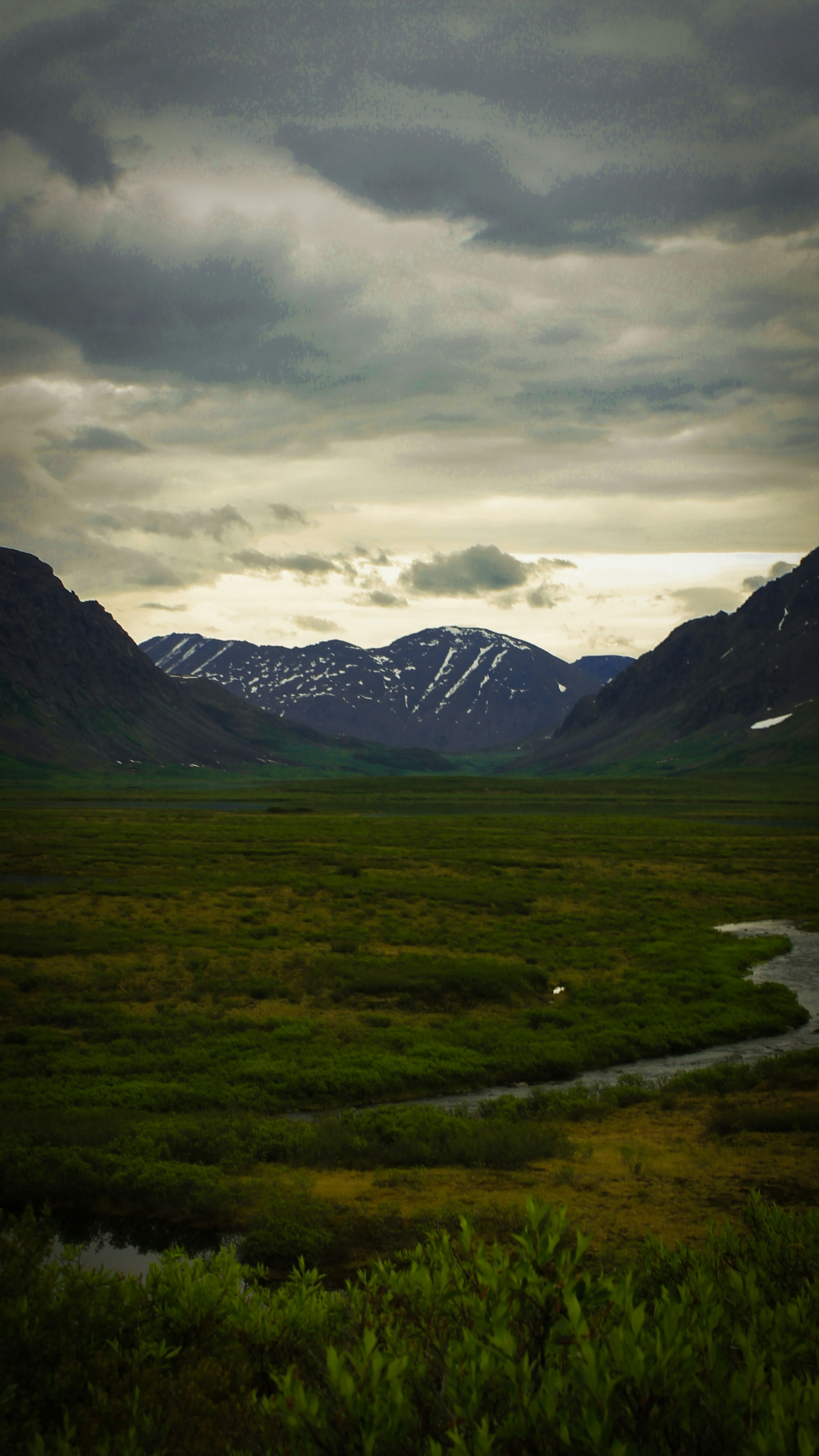 Photo by cjrollins17